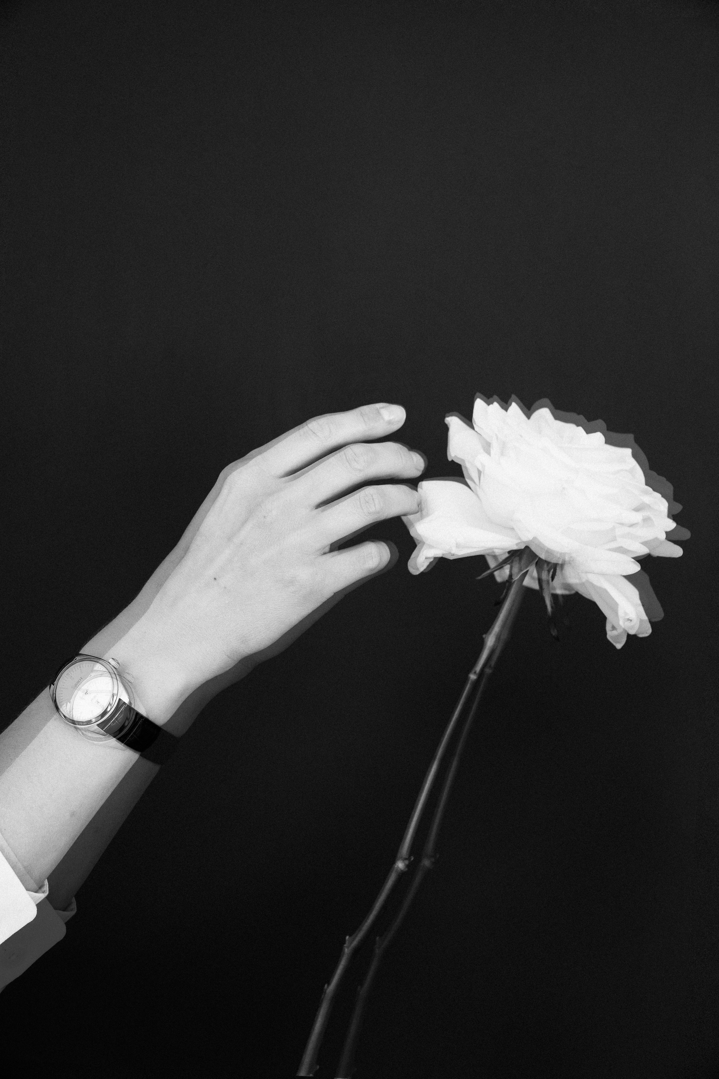 Портретная фотосессия в Петербурге — декабрьские съёмки в студии и на улице