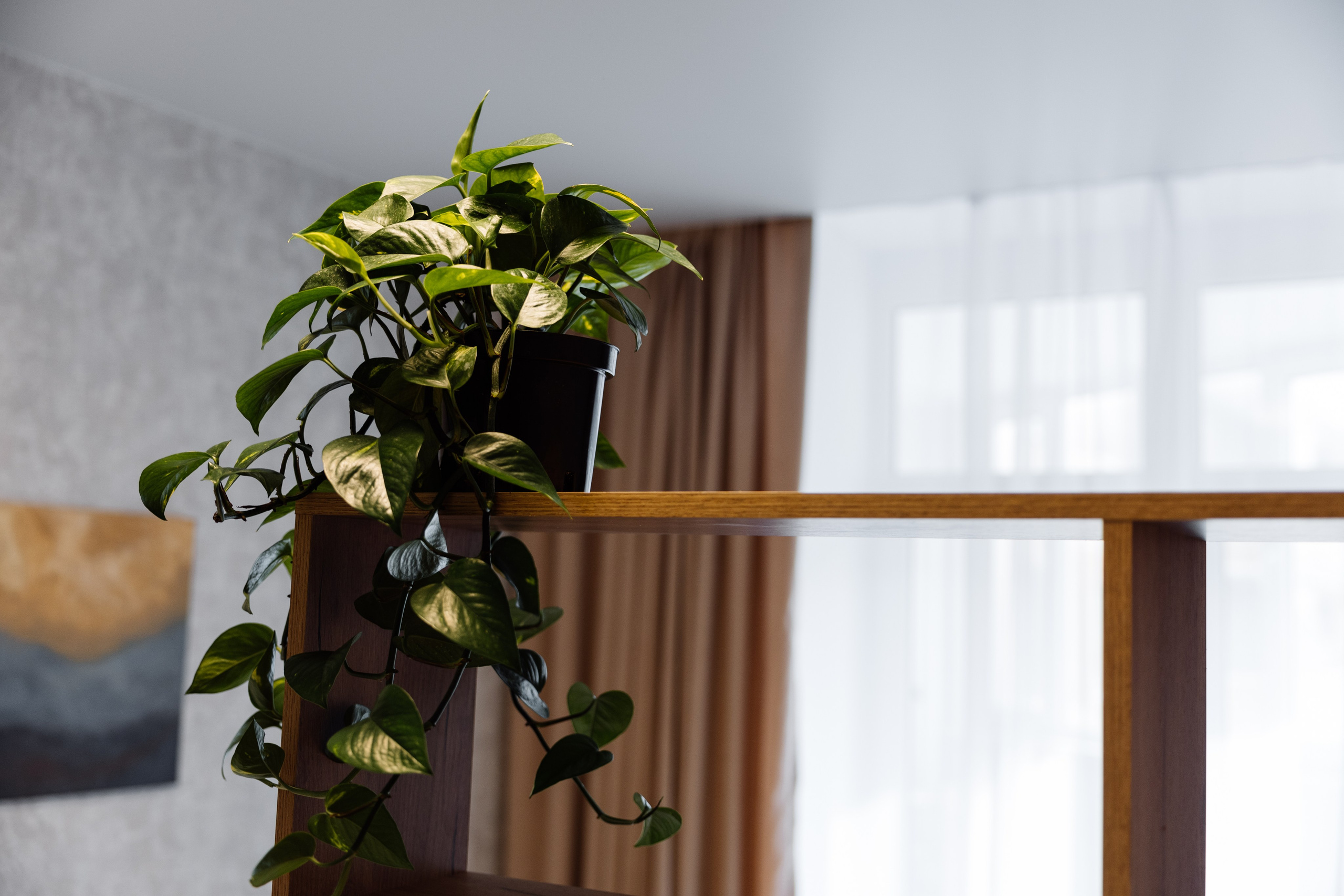 Недвижимость. Майорова Валерия Фотограф Ставрополь