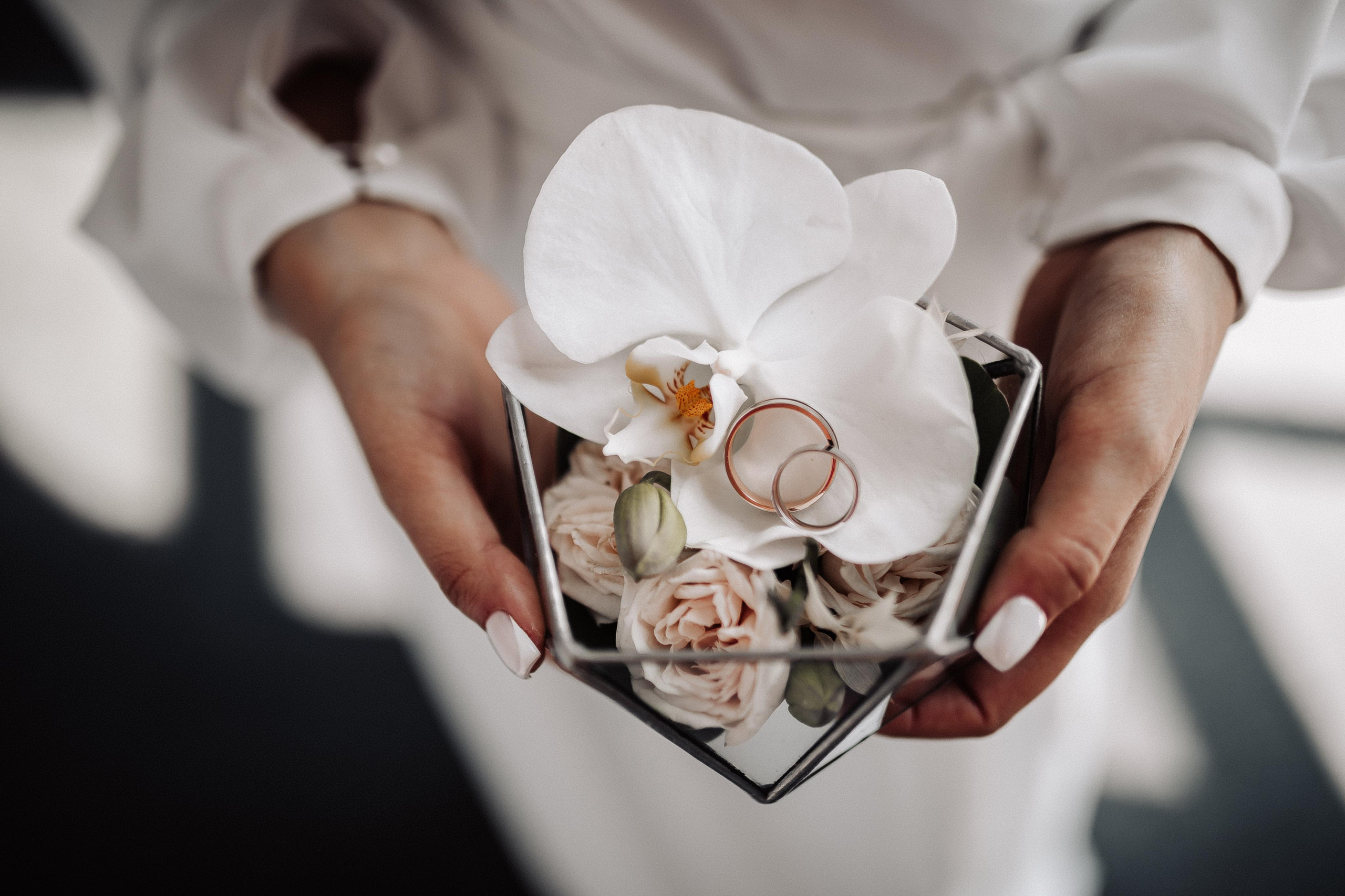 Александр & Кристина 21.08.2020. Свадебный и семейный фотограф