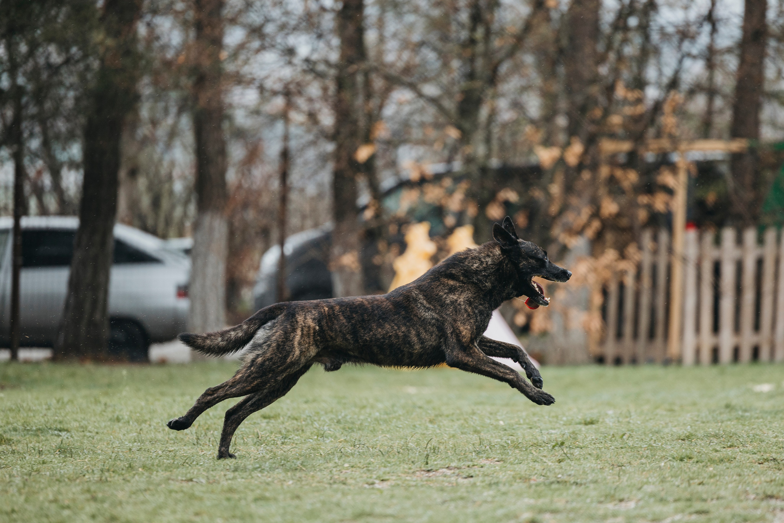 Геленджик Мондьоринг. Фотограф-анималист Анна Маринич
