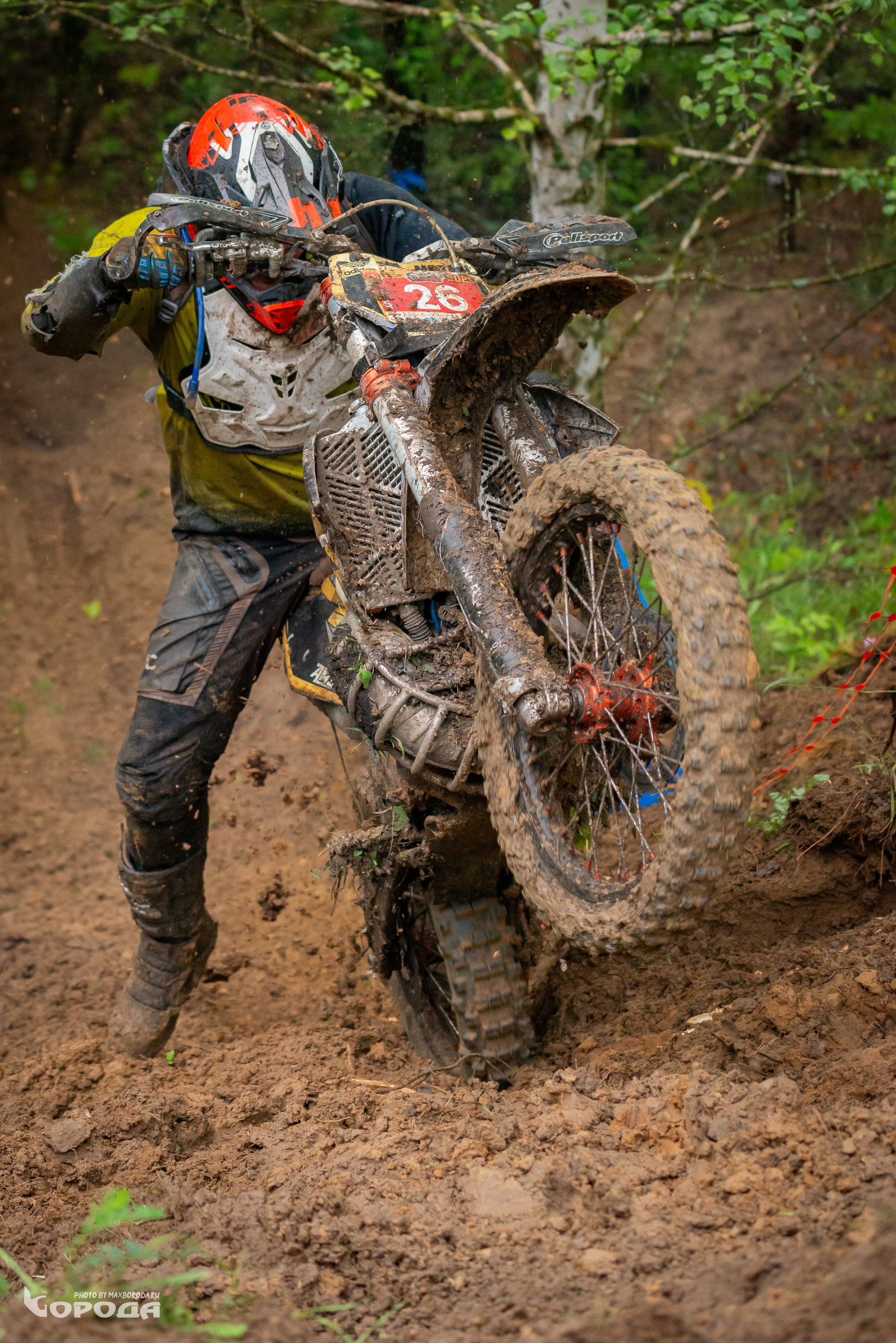 Дубрава 2025. Фотограф | Макс Борода