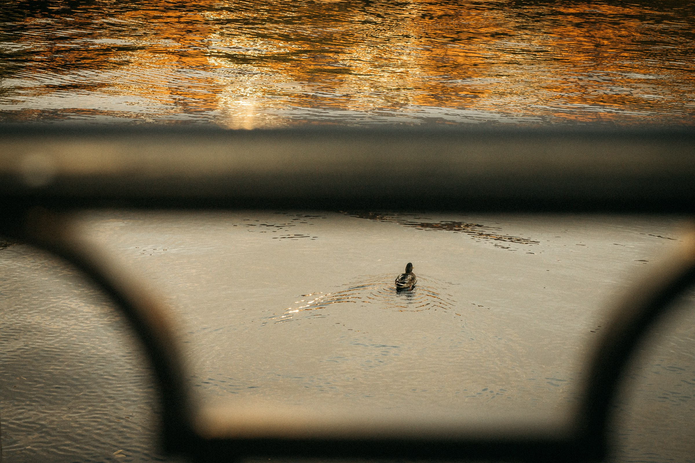 Городские локации в Питере