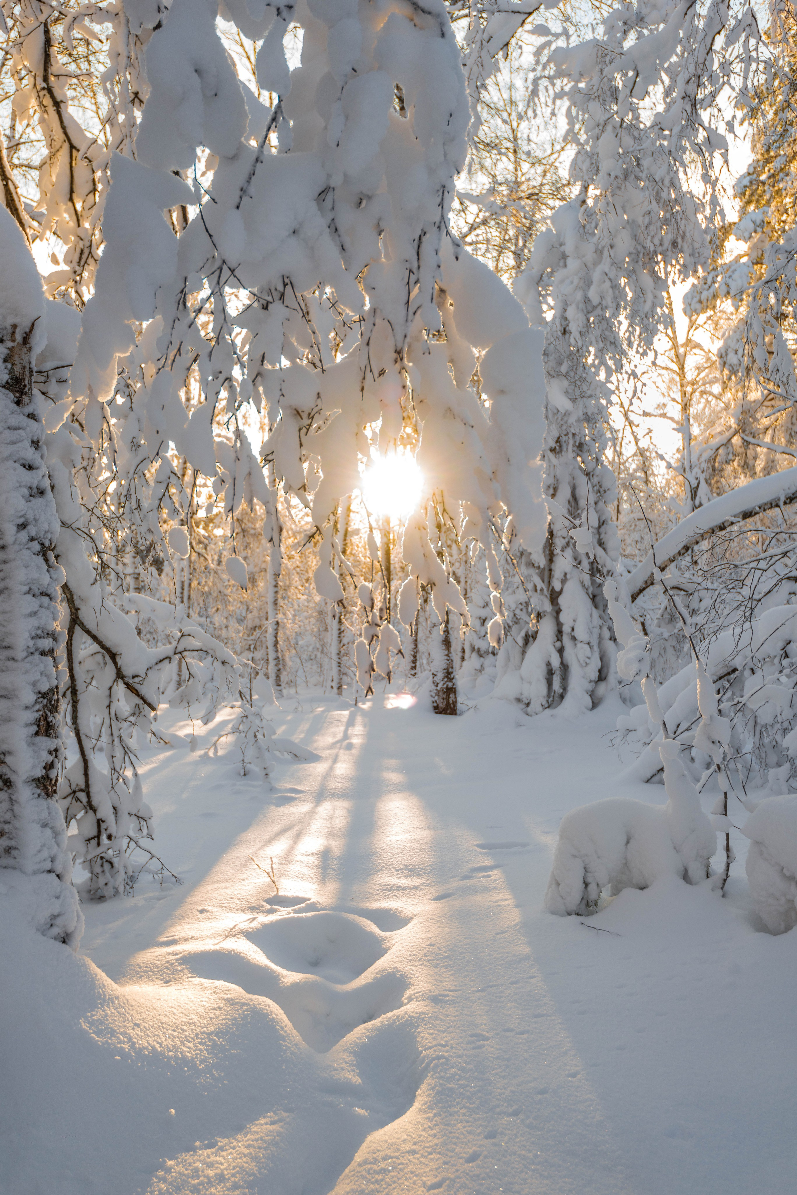 Таганай Семибратка, Парк Бажова, ледяной фонтан 06.01.2024. Свадебный фотограф на Урале Виктор Соколов