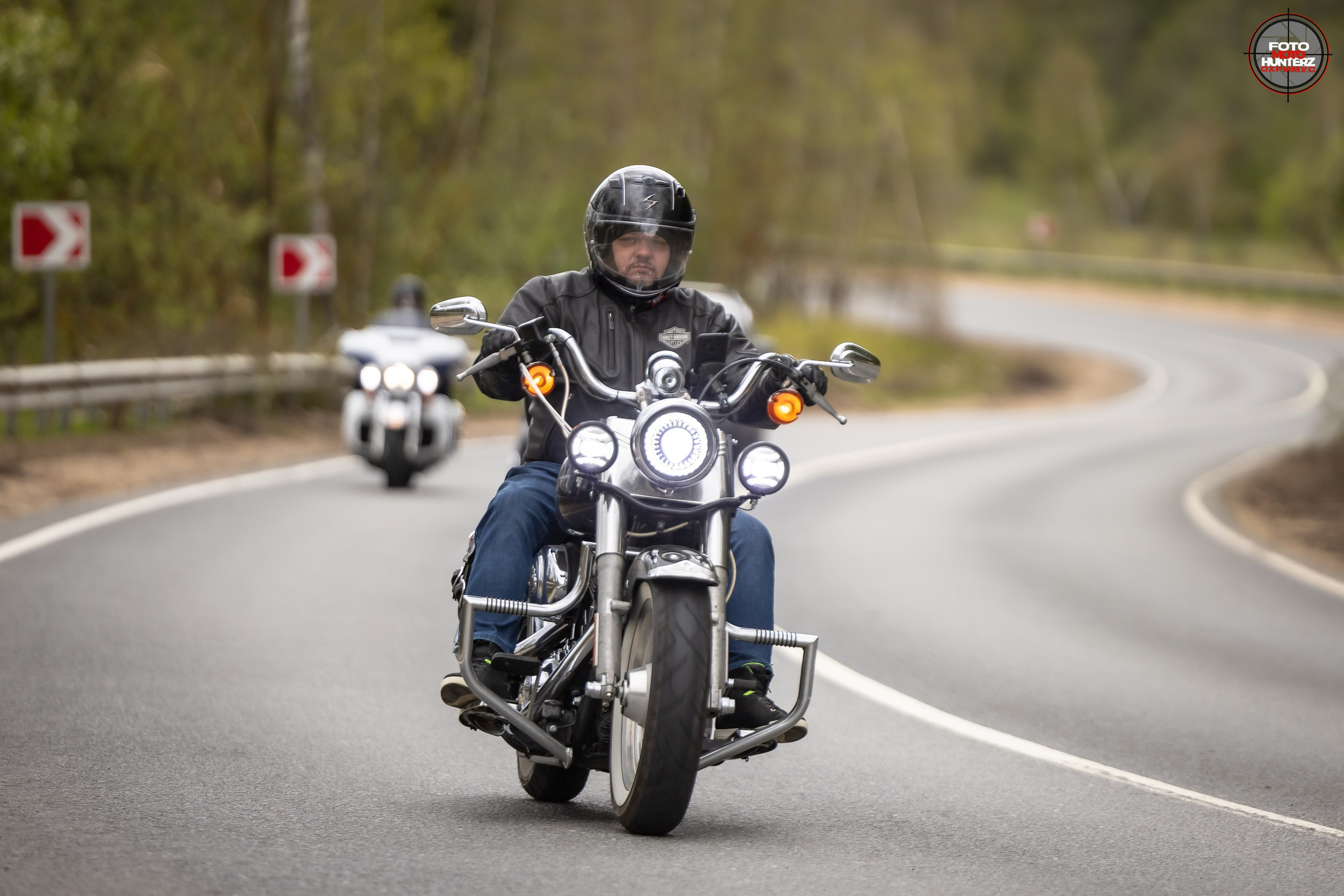 Первое Сафари в 2025 г. на Рогачевском ш. Фотограф Владимир Охрименко