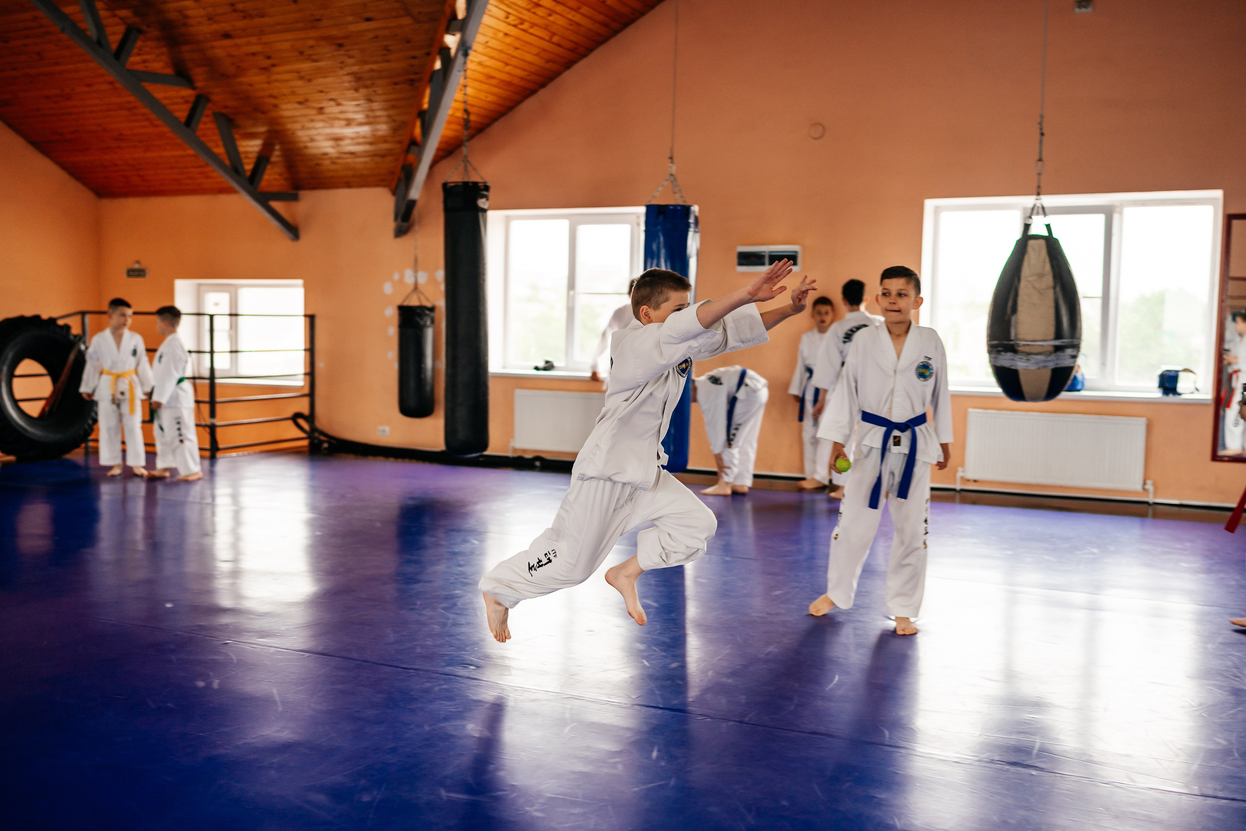 Съемка спортивных мероприятий. Taekwondo/2023. Семейный фотограф в Москве Ирина Жур