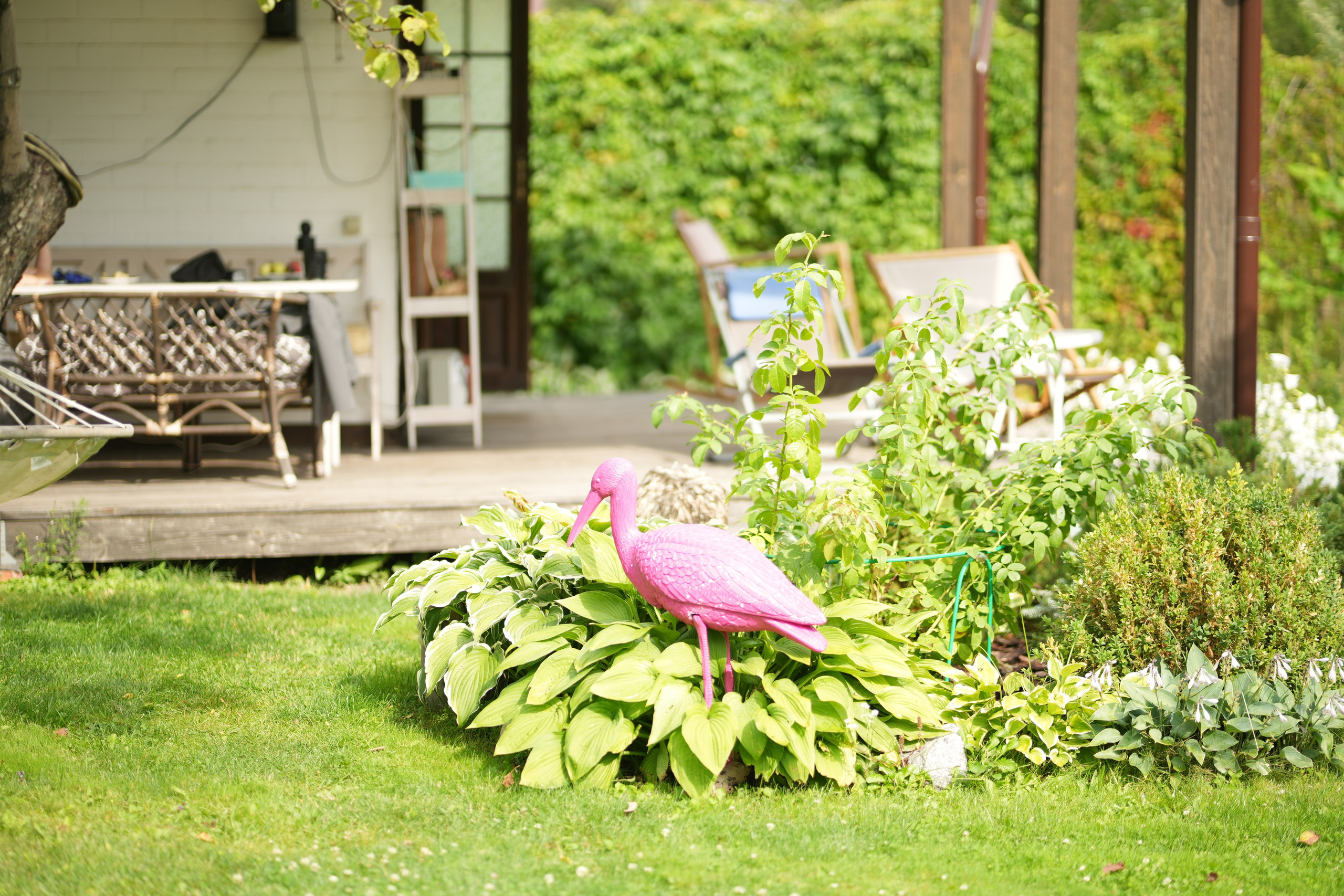 Час 1500 пример фотосессии пакет «ФОТО НА ПАМЯТЬ» (без обработки). Фотограф Нижний Новгород Татьяна Кэйод