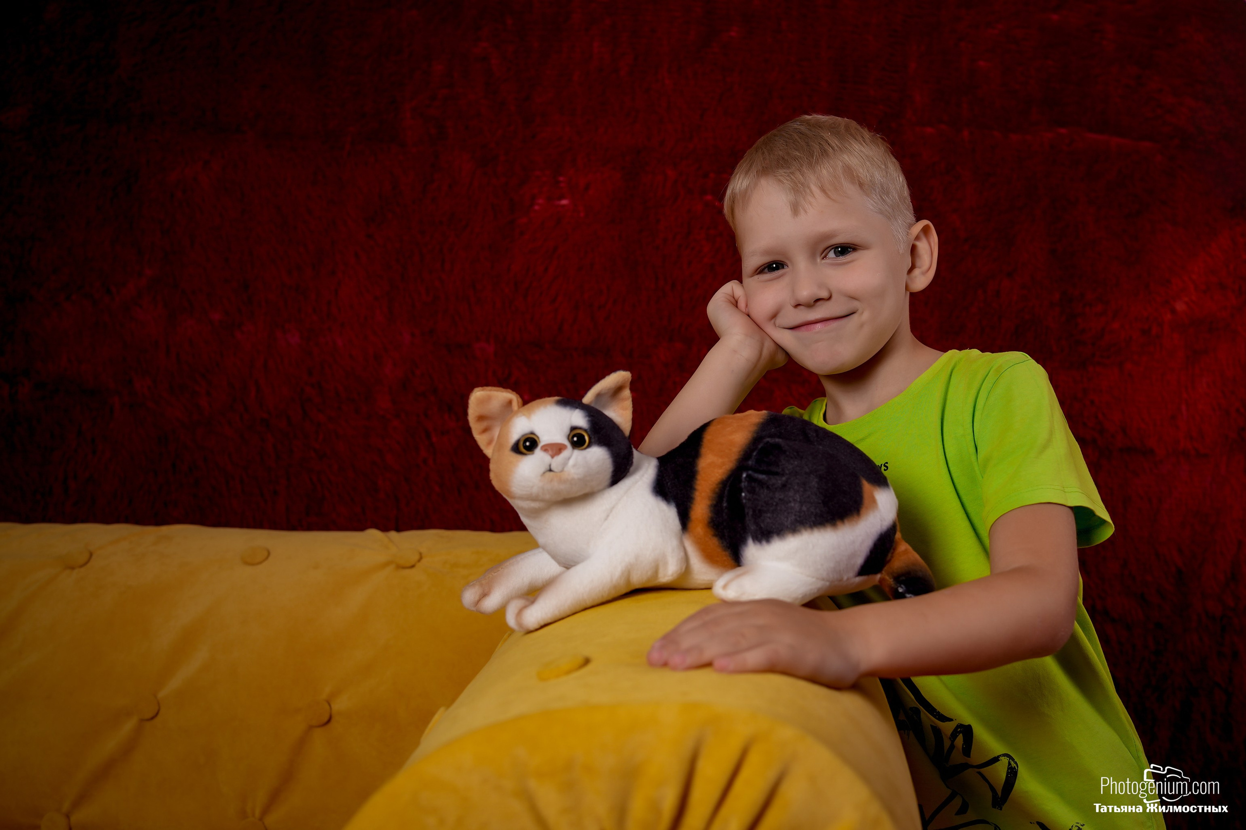 Студийная съемка Котики. Фотограф Нижний Новгород Татьяна Кэйод