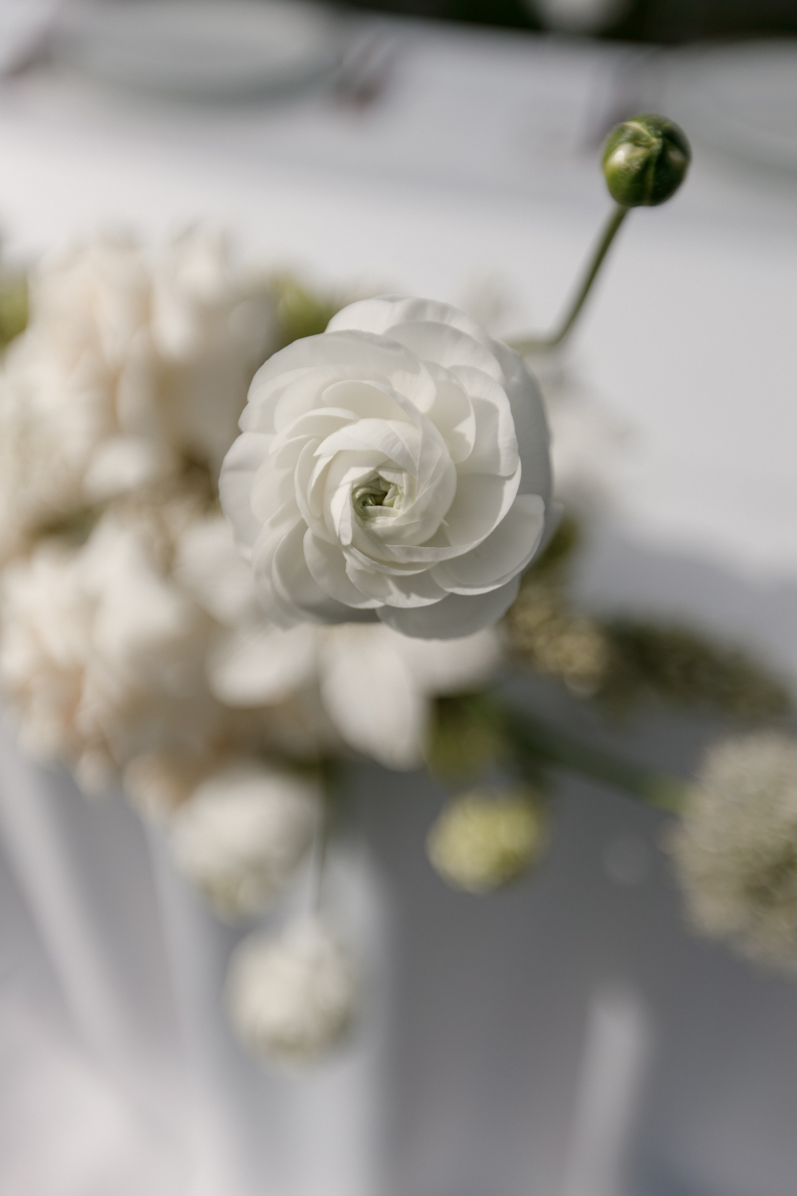 Денис и Алина. Белый замок. Фотограф Анна Лейман. Севастополь