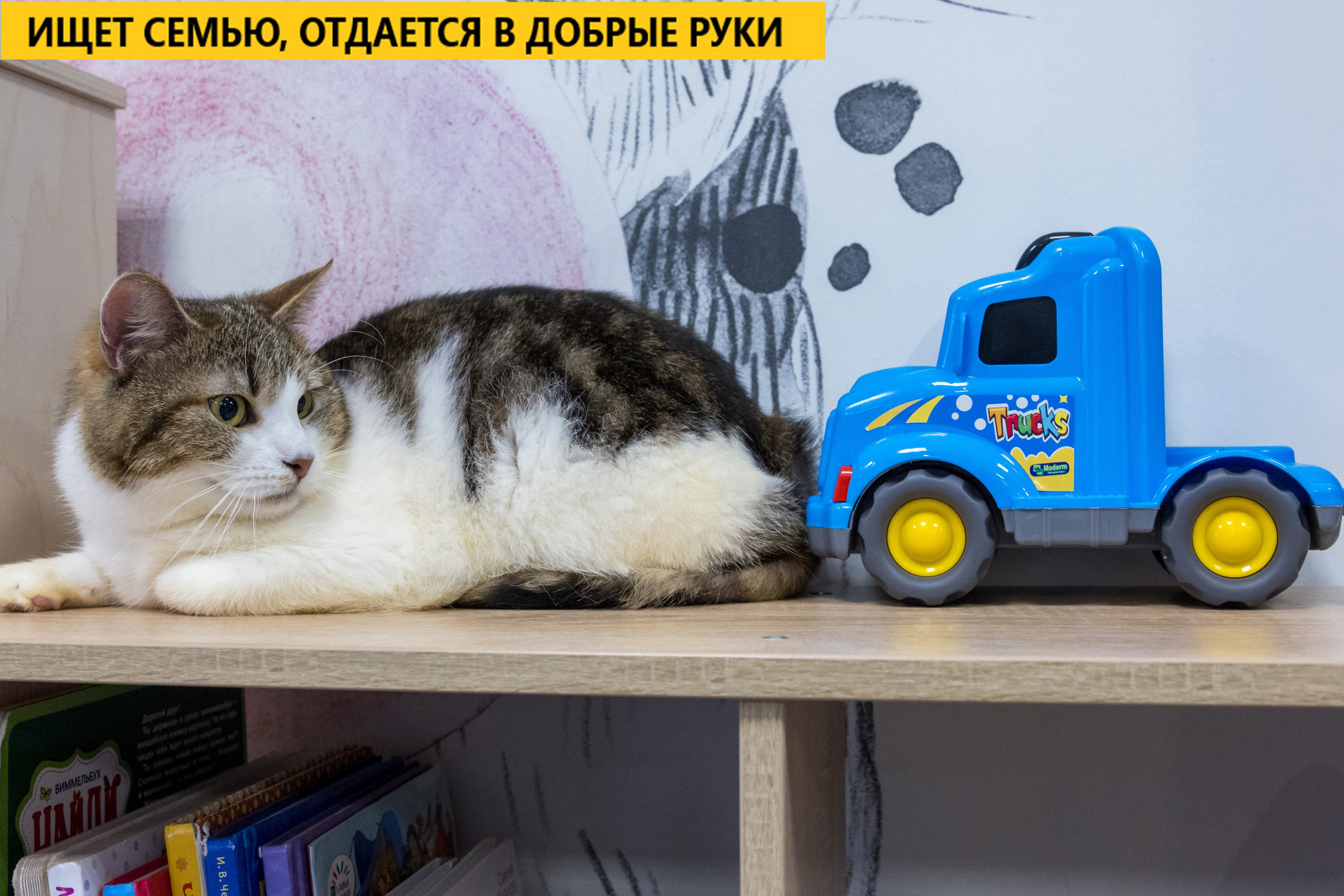 Рекламная съемка в Москве. Геннадий Степанов —фотограф в Москве