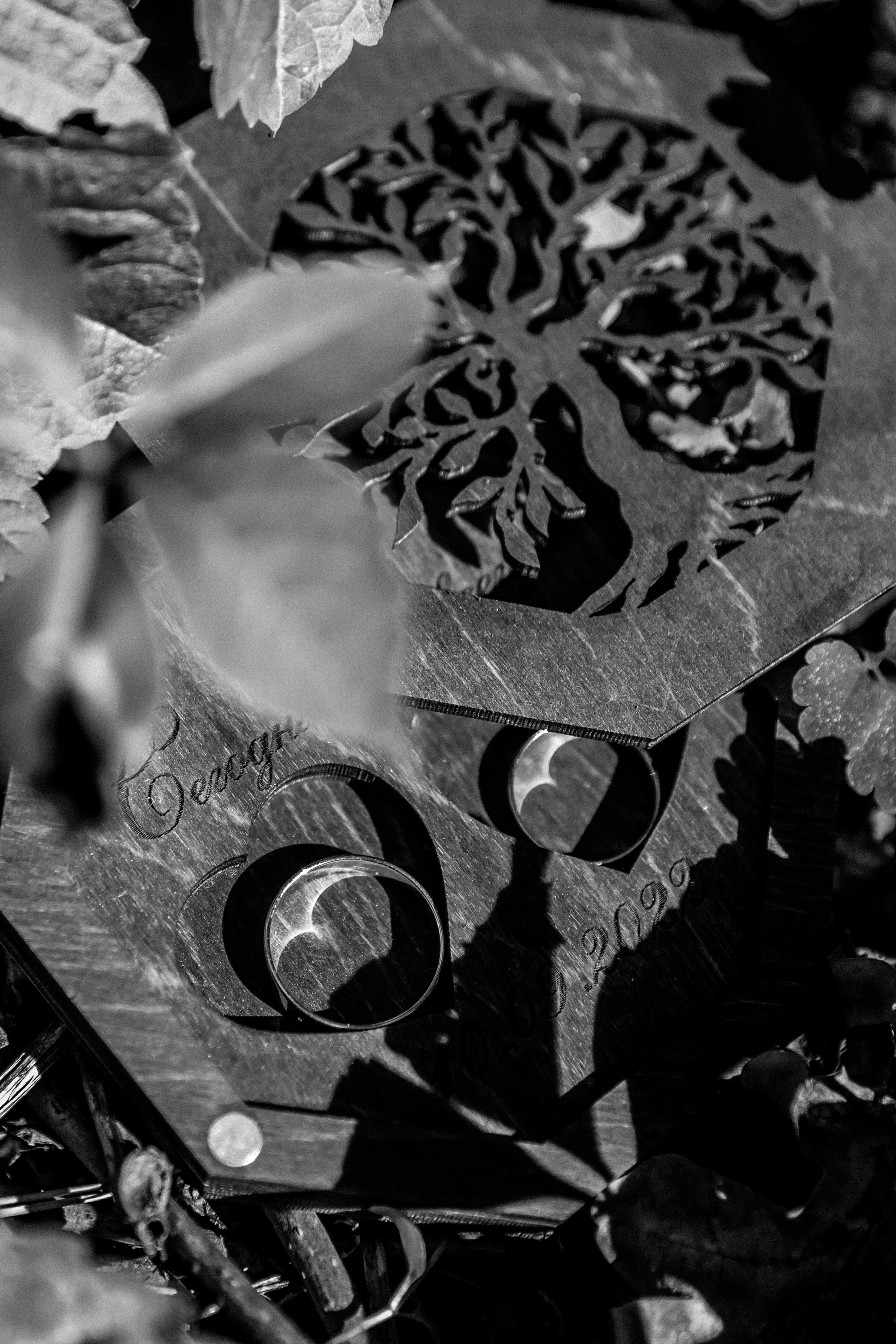 Алина и Влад. Портретный и свадебный фотограф в Воронеже Елена Михайлова