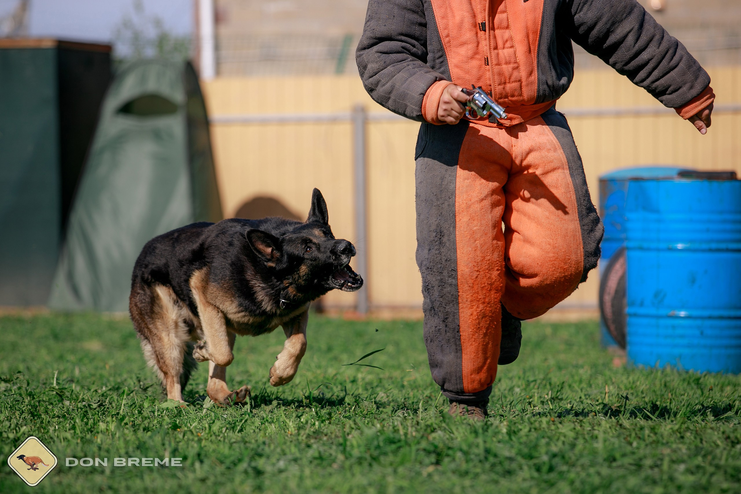 Семинар для фигурантов, день 4. Фотограф-анималист Mary Mart — Москва, Питер