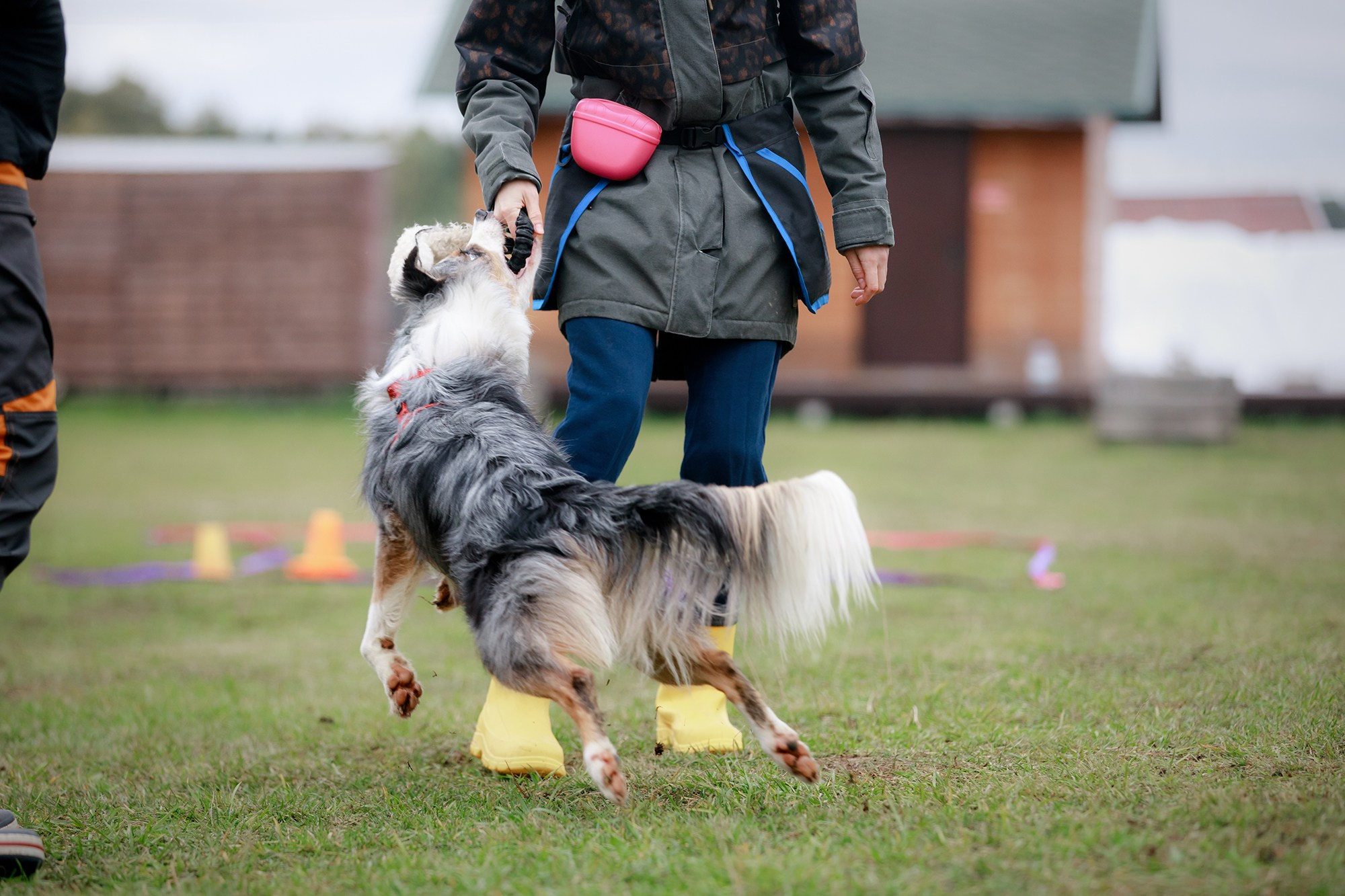 Лагерь по ОБД с Инной Баженовой. Фотограф-анималист Mary Mart — Москва, Питер