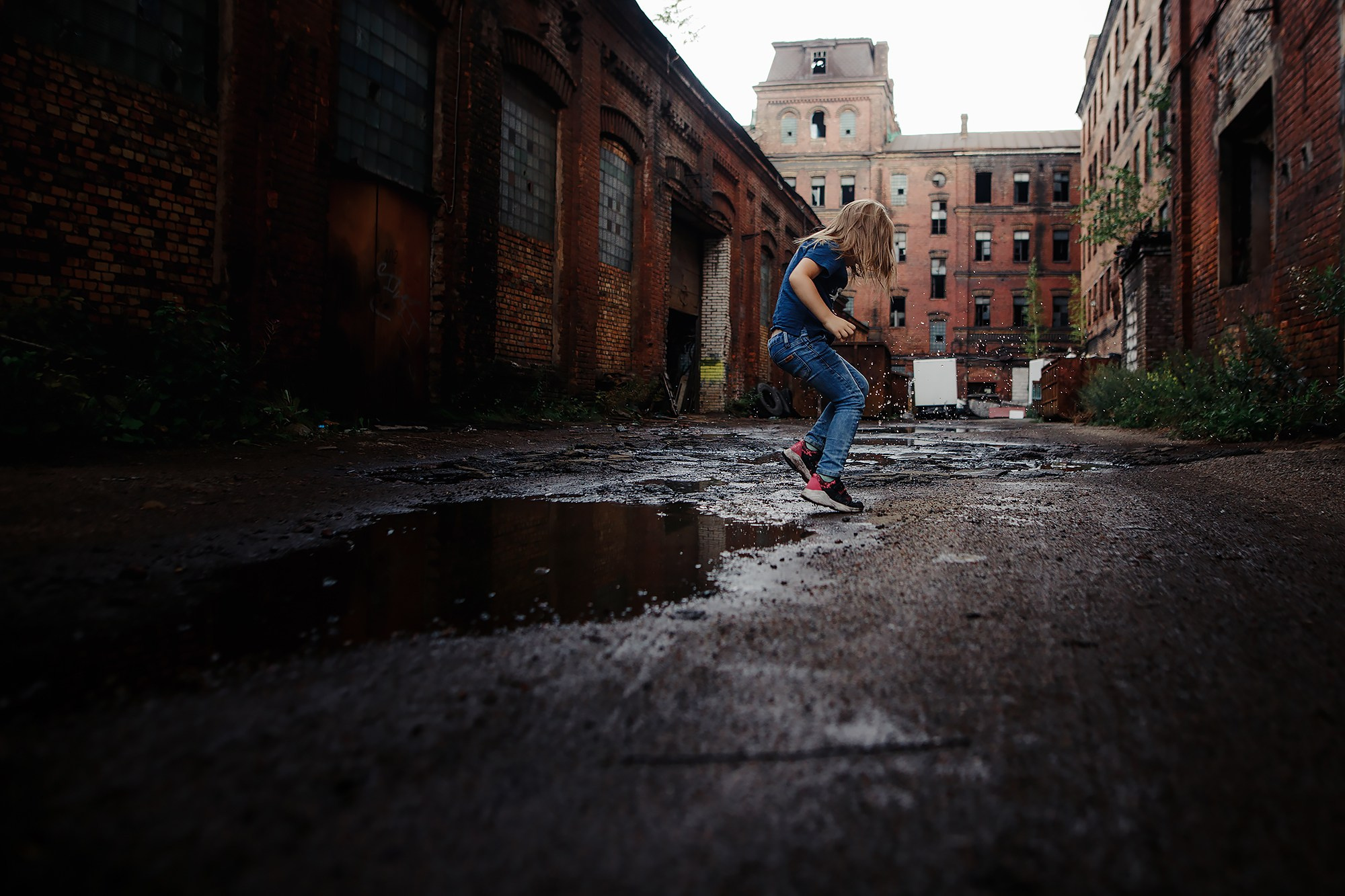 Саша, Маша и шипперке Йети. Фотограф-анималист Mary Mart — Москва, Питер