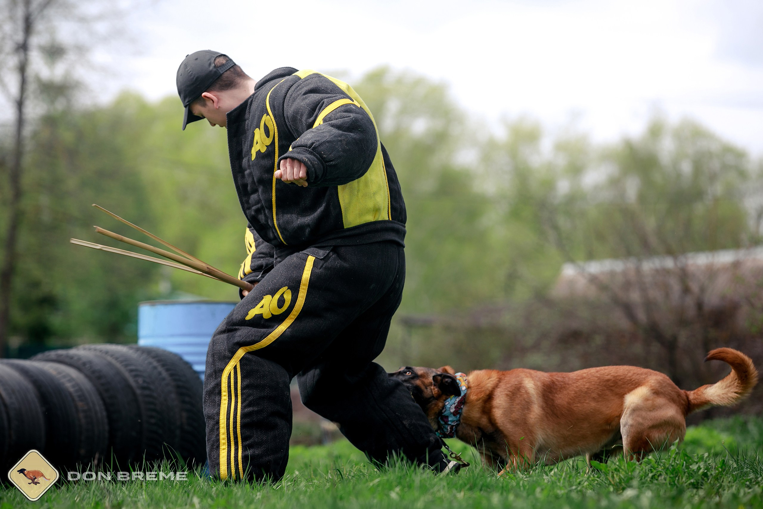 Семинар для фигурантов, день 2. Фотограф-анималист Mary Mart — Москва, Питер