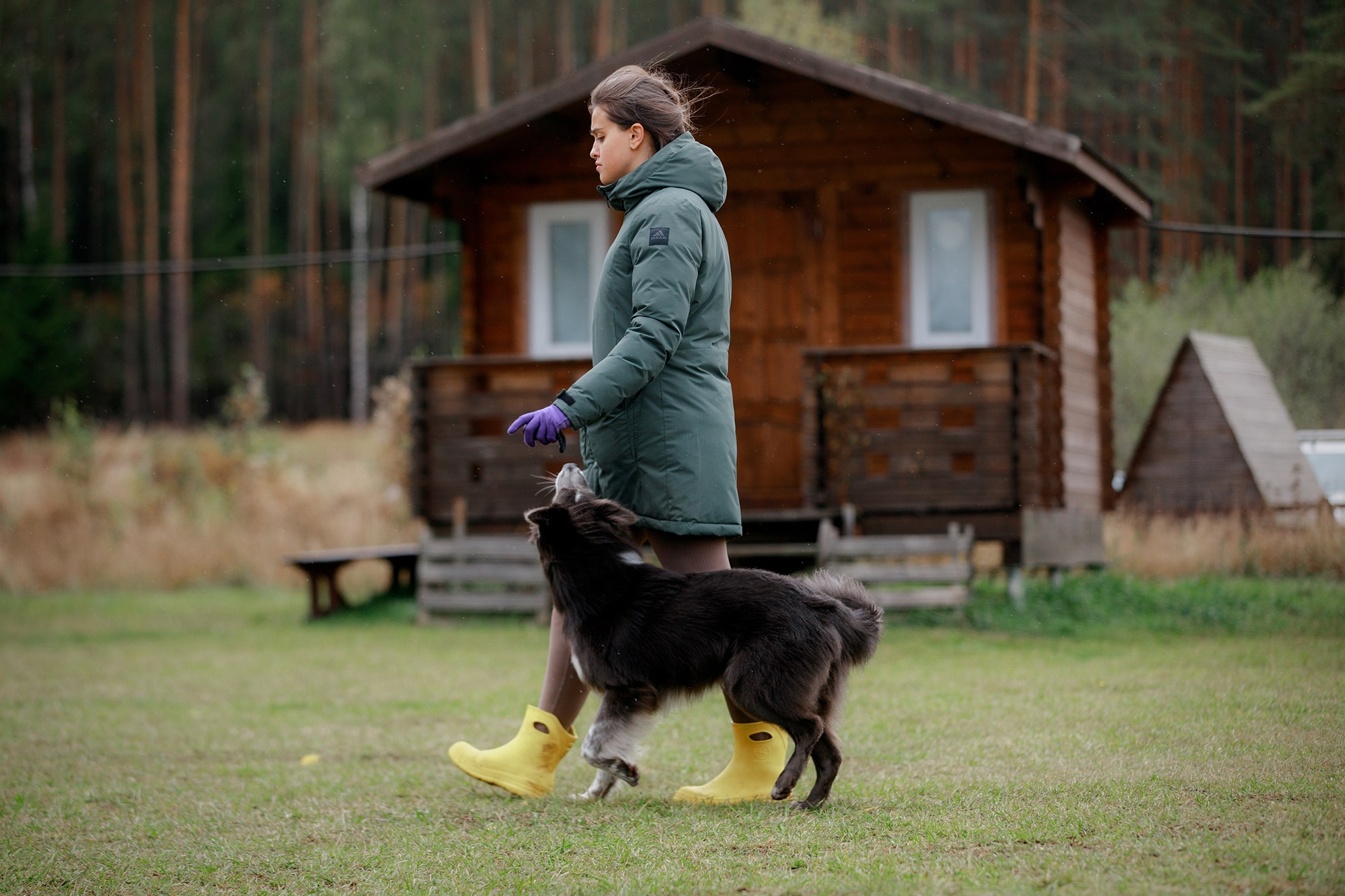 Лагерь по ОБД с Инной Баженовой. Фотограф-анималист Mary Mart — Москва, Питер
