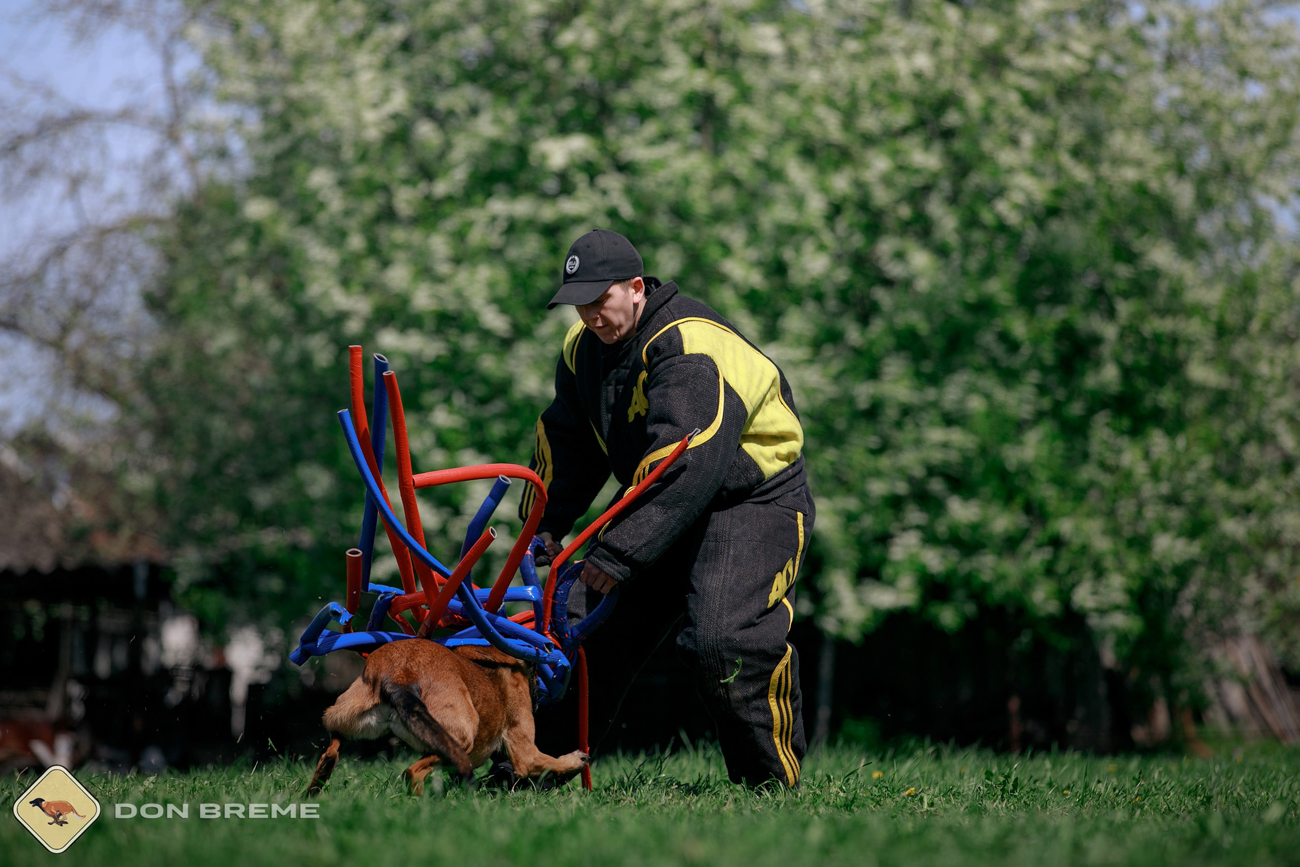 Семинар для фигурантов, день 4. Фотограф-анималист Mary Mart — Москва, Питер