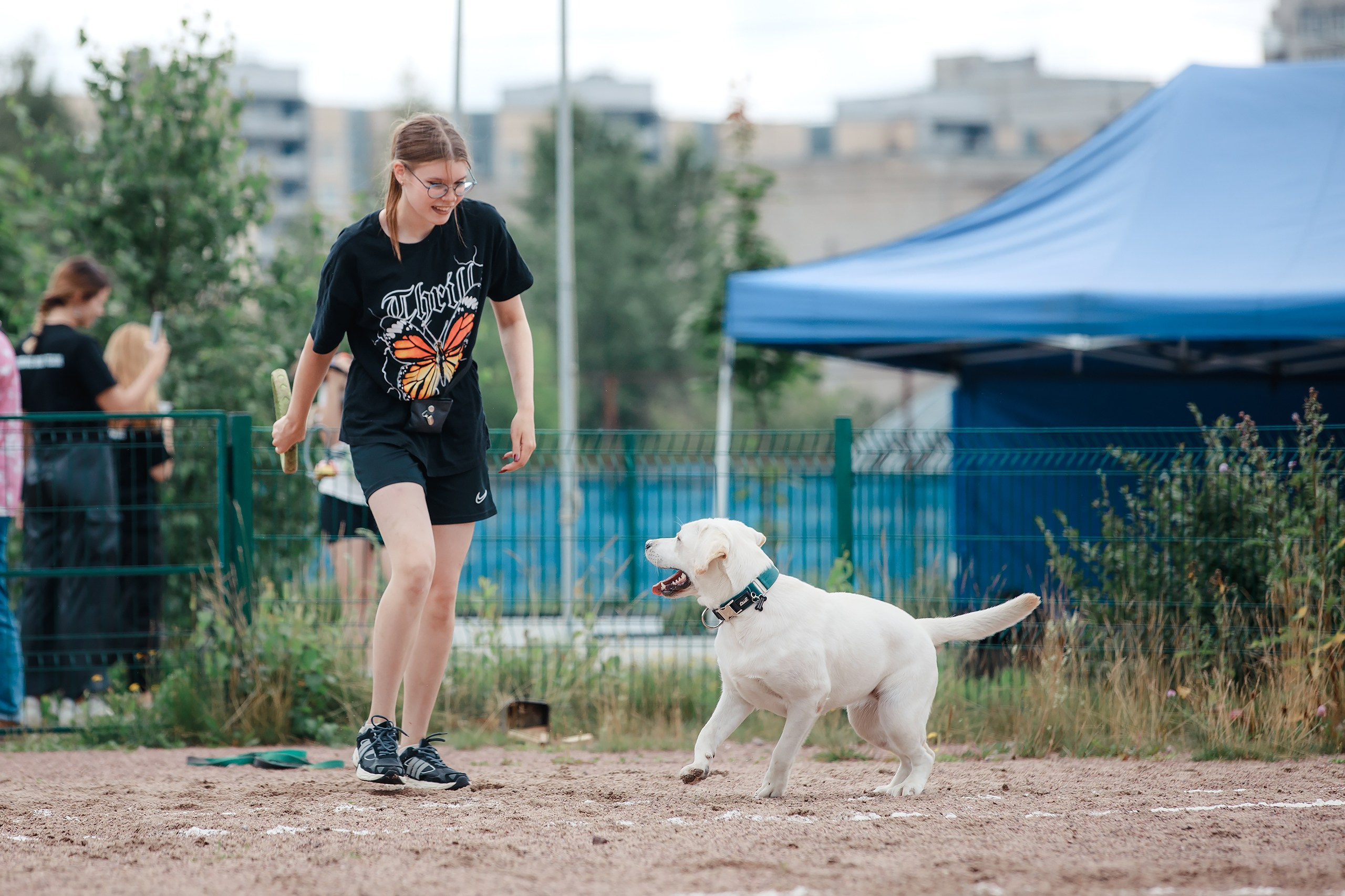 Питч&Гоу + веселые старты. Фотограф-анималист Mary Mart — Москва, Питер