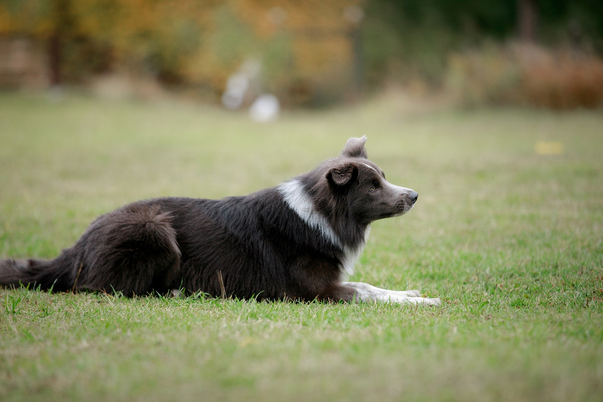 Лагерь по ОБД с Инной Баженовой. Фотограф-анималист Mary Mart — Москва, Питер