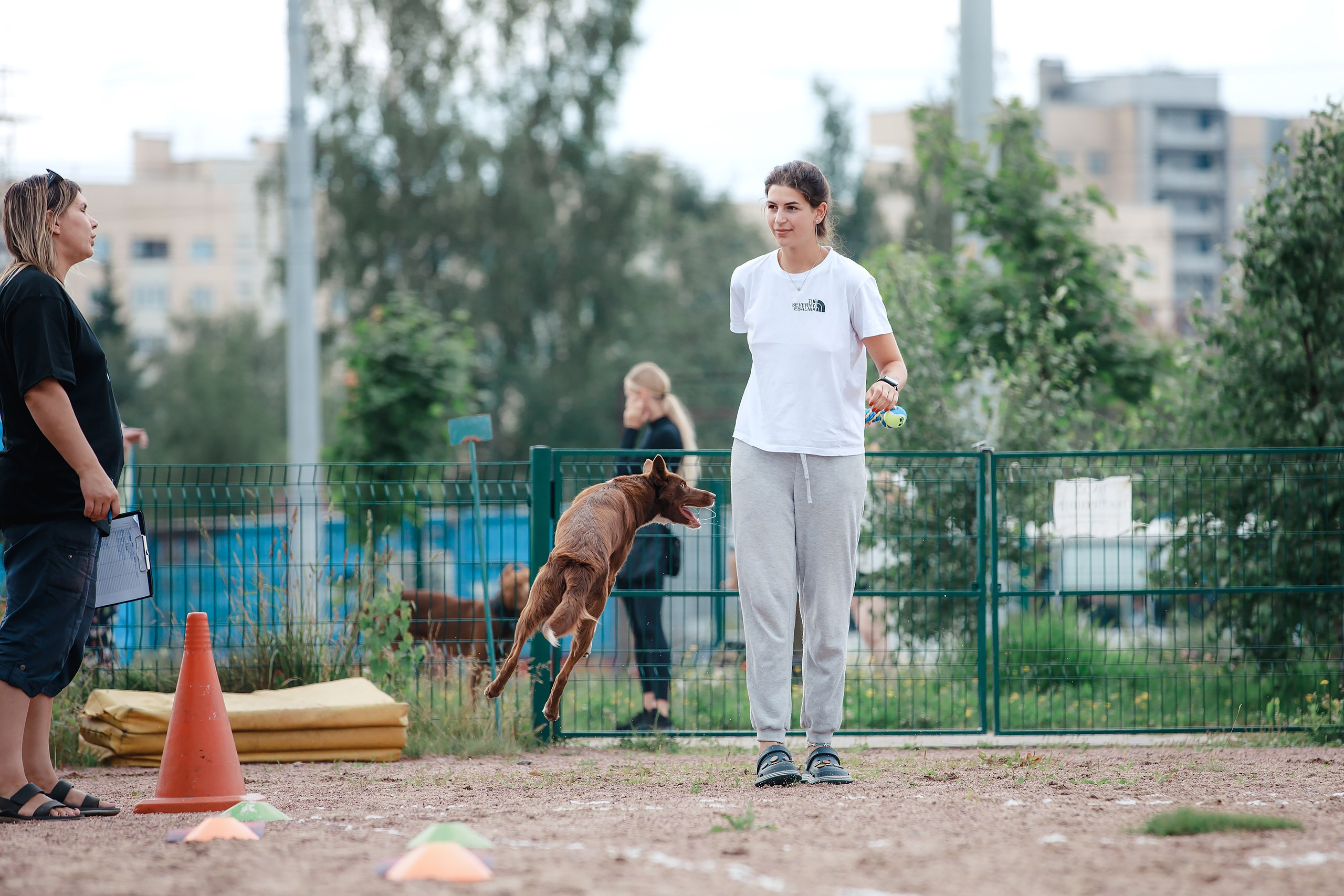 Питч&Гоу + веселые старты. Фотограф-анималист Mary Mart — Москва, Питер