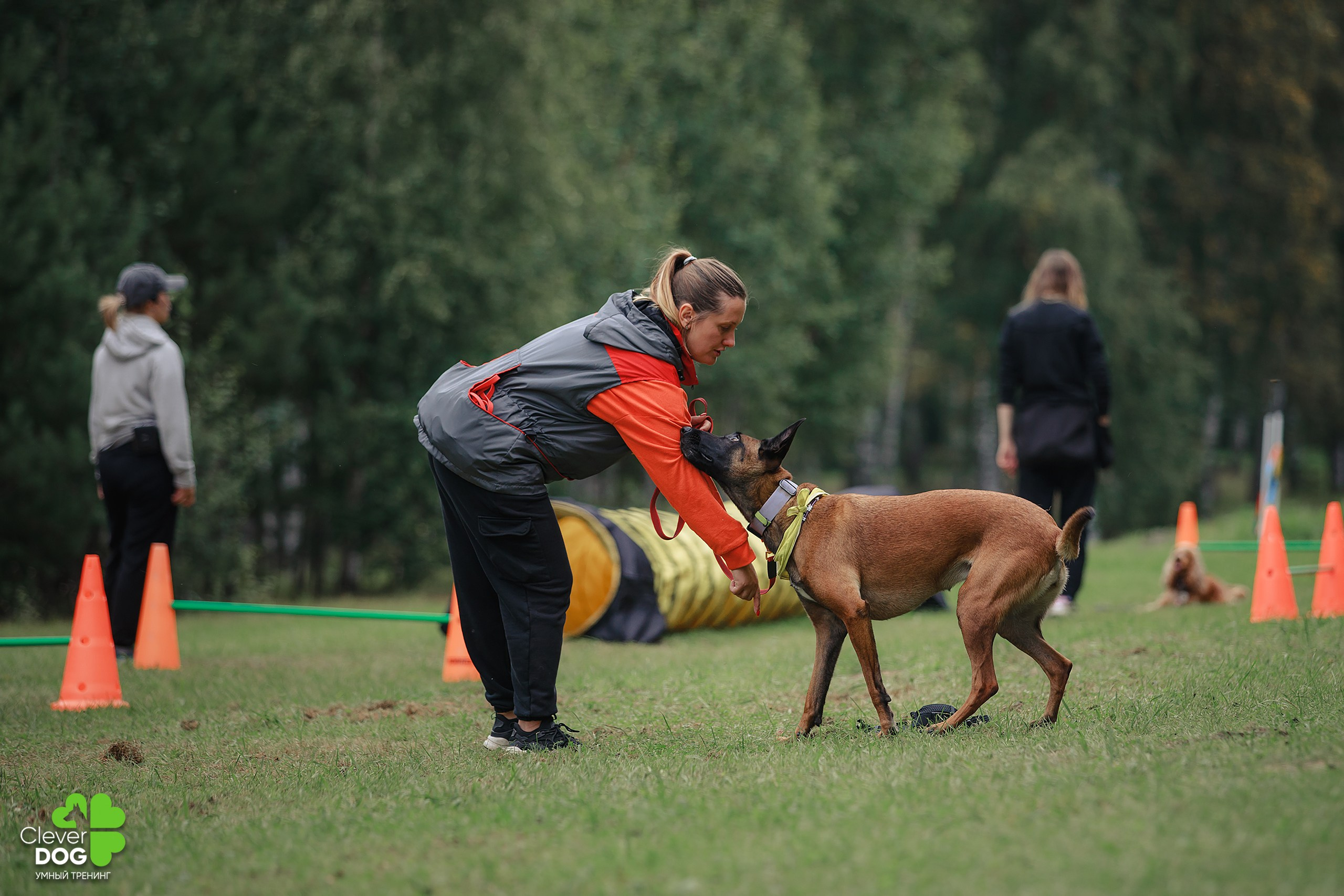 Кинологический лагерь CleverDog, 2024. Фотограф-анималист Mary Mart — Москва, Питер