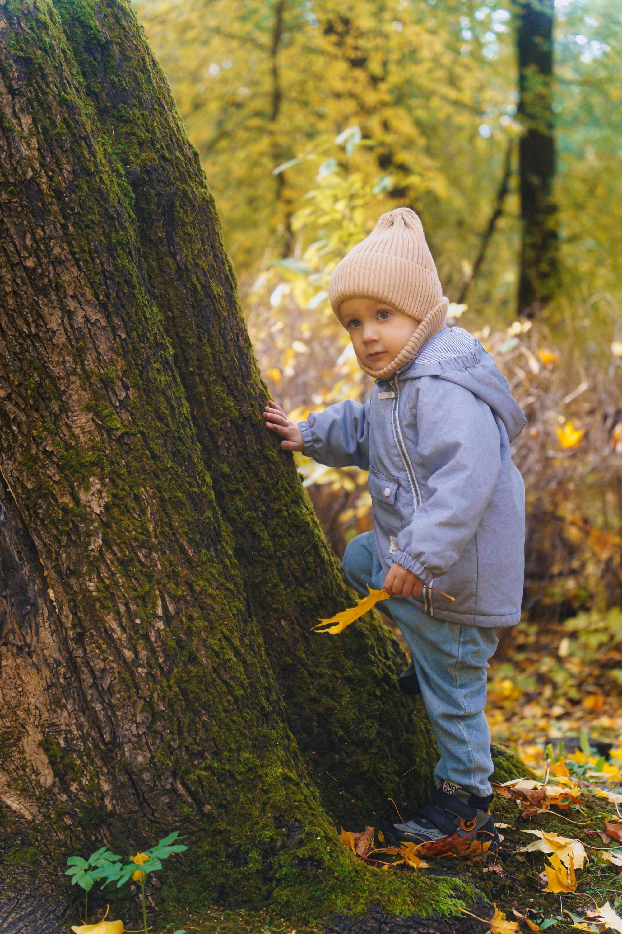 Игорь Лена Сережа Леша. Свадебный и семейный фотограф в Санкт-Петербурге Виктор Голубев