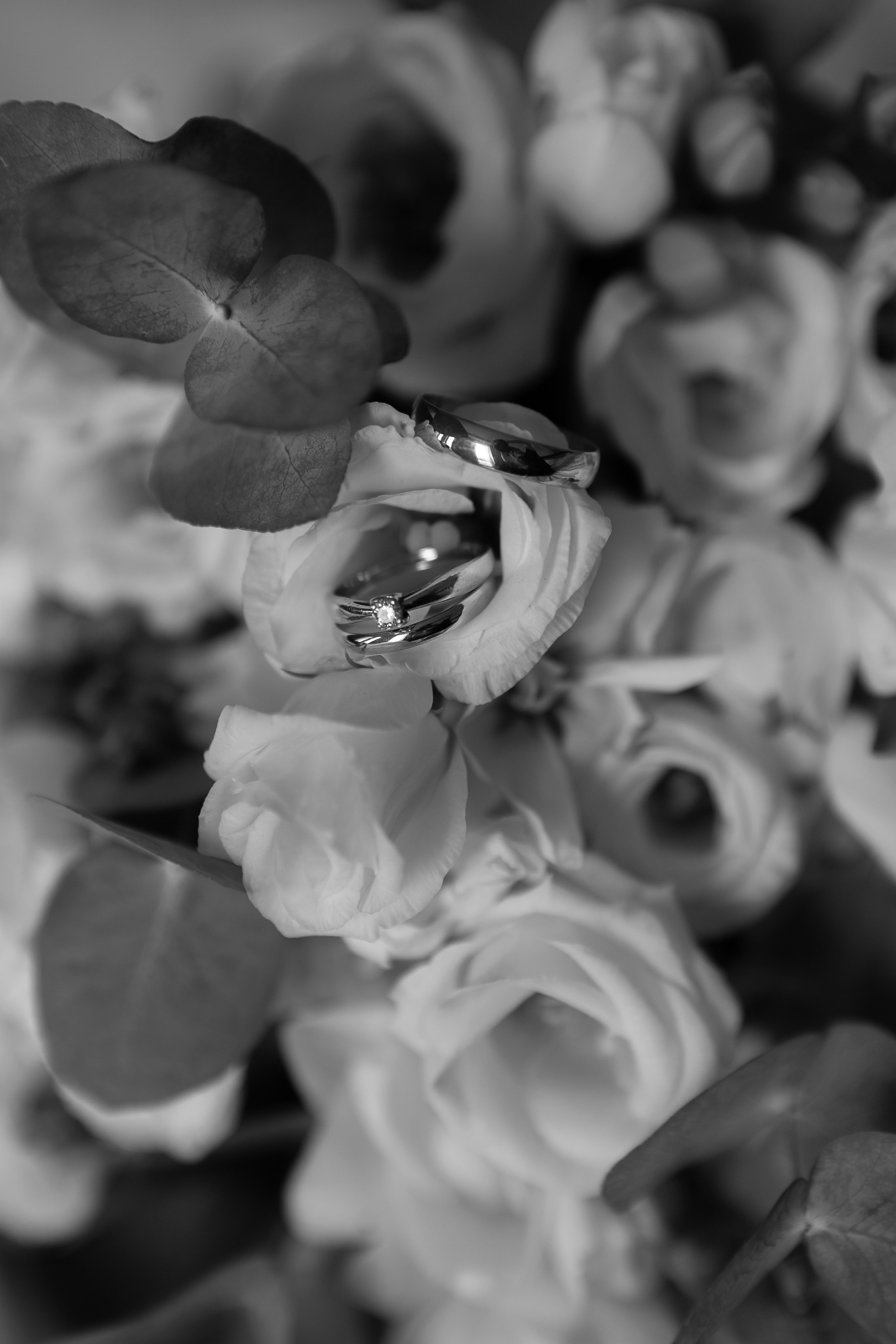 M&M's. Свадебный и семейный фотограф Арина Кулёва