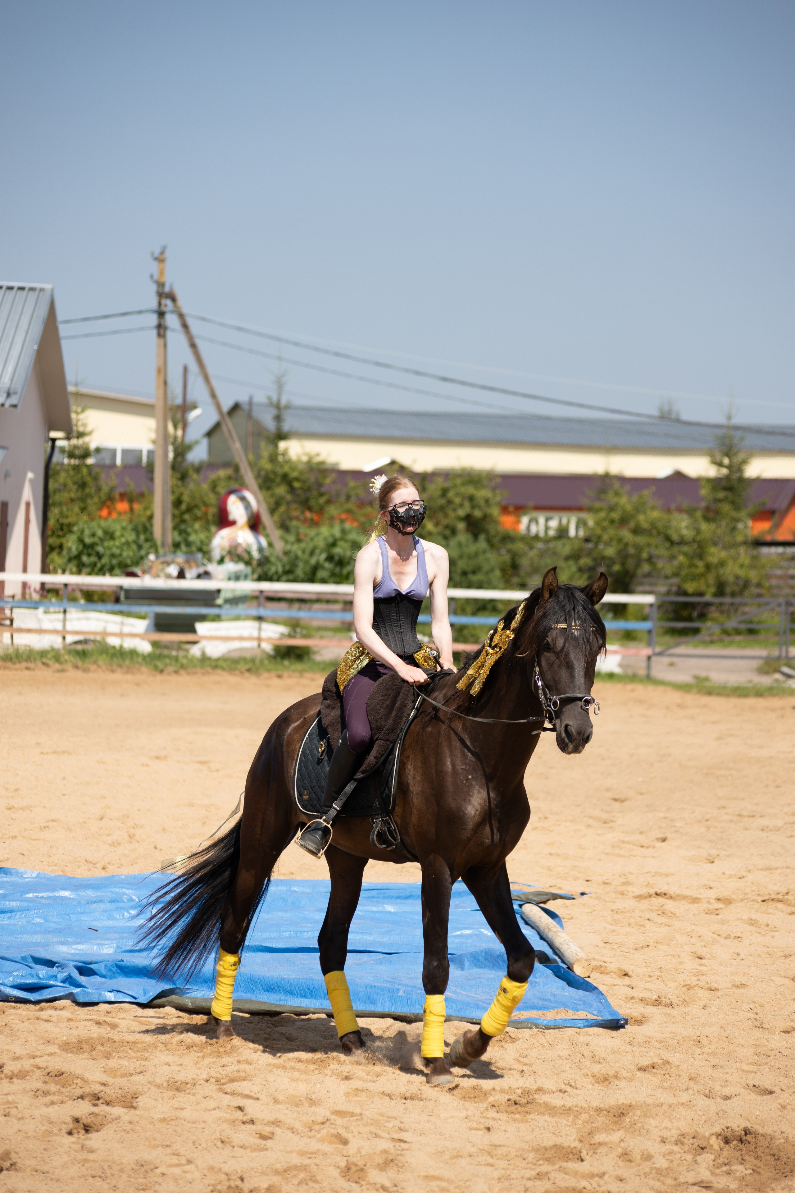 Конюшня. Фотограф в Москве и Истре