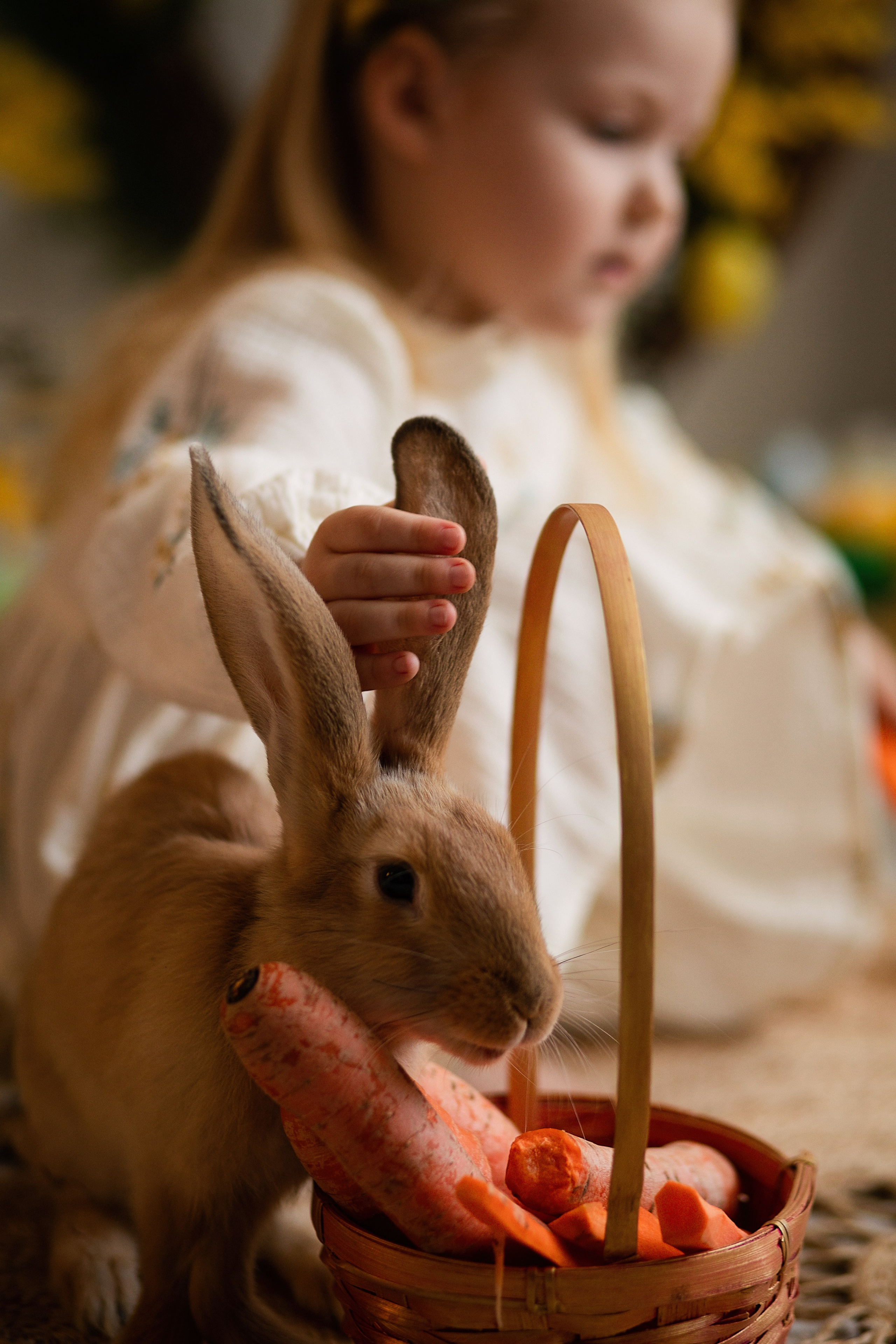 Фотопроект Пасхальный с кроликами. ФОТОГРАФ НА ГОДИК, БЕРЕМЕННОСТИ, НОВОРОЖДЕННЫХ, КРЕЩЕНИЯ МОСКВА