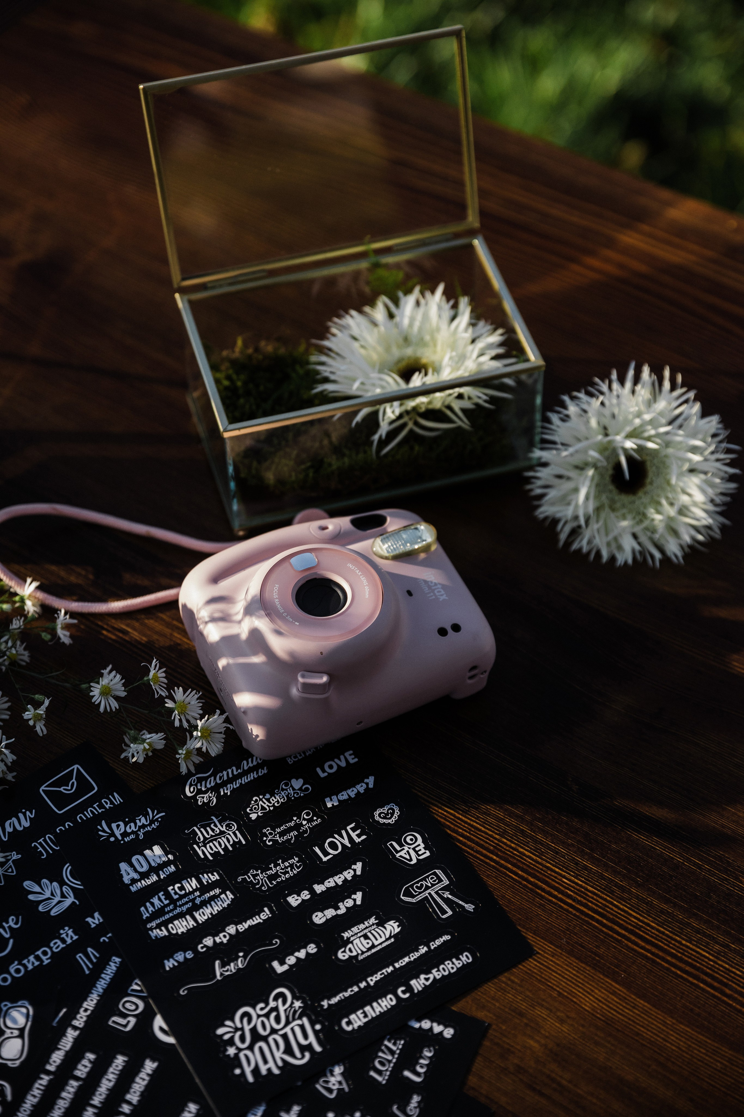 Павел и Дарья. Фотограф Айвазова Наталья Краснодар