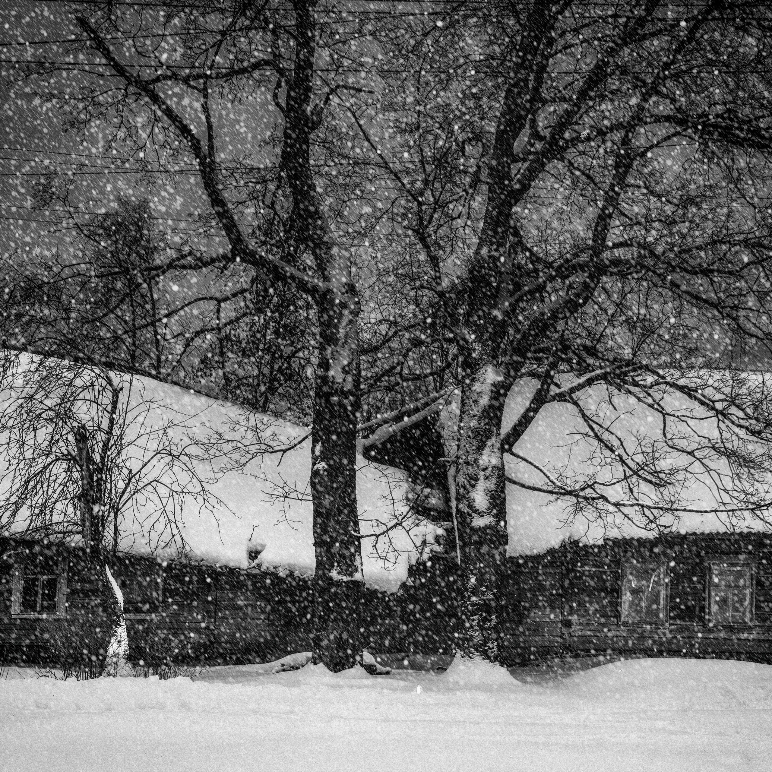 Сергованцев Алексей (Дорогобуж). Молодая Фотография