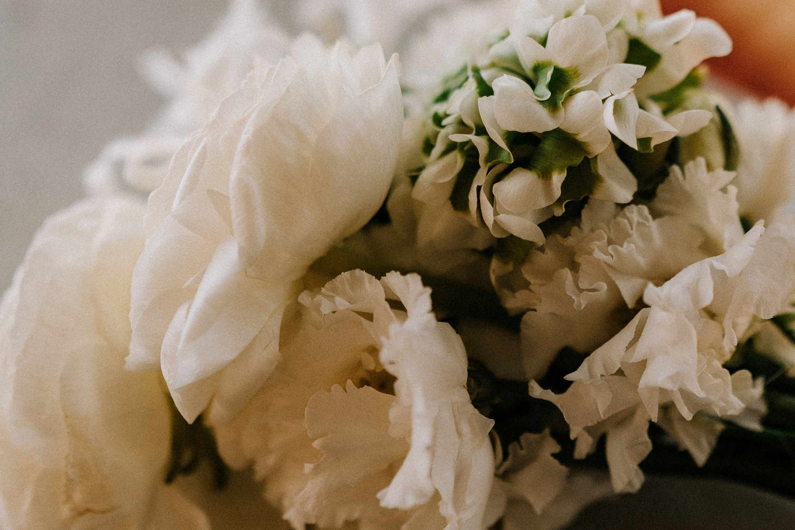 Ксения и Эдуард с пленкой 35 mm. Фотограф в Санкт-Петербурге Юлия Гербель