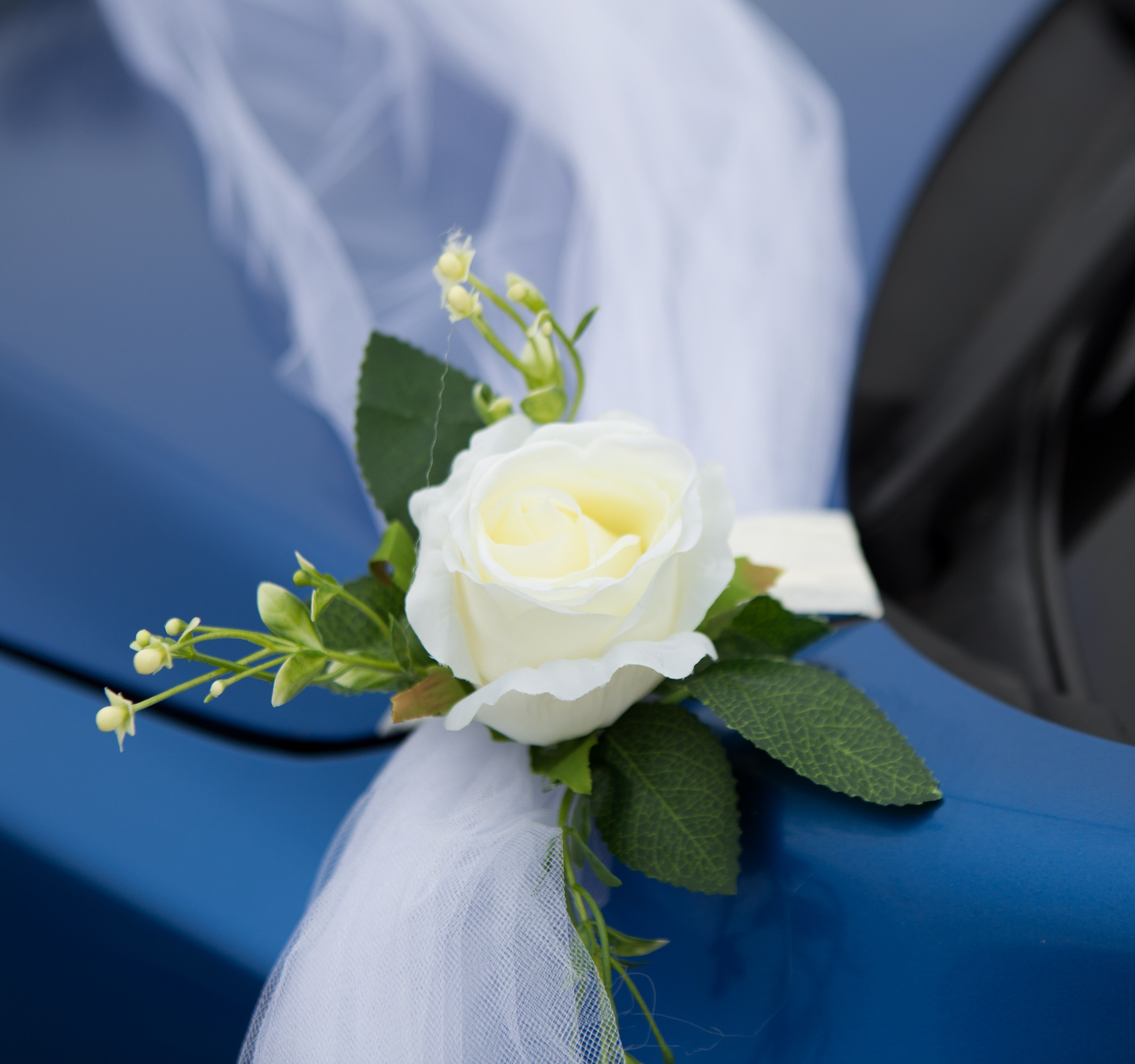 Загс+прогулка. Фотограф Тверь|Москва|Волоколамск| Отт Кристина