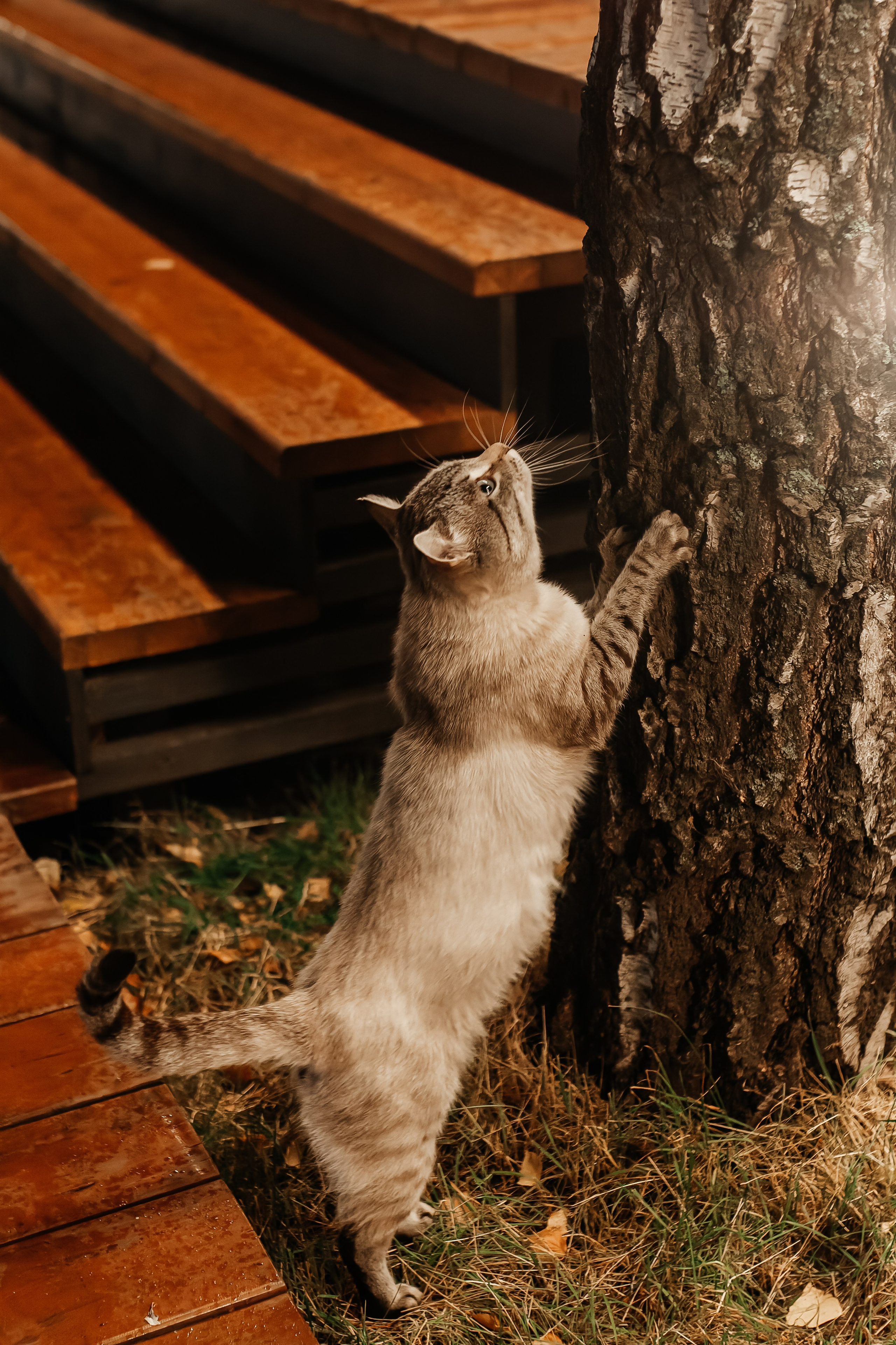 Кедр-камп. Марина Шаймухаметова. Фотограф в Уфе