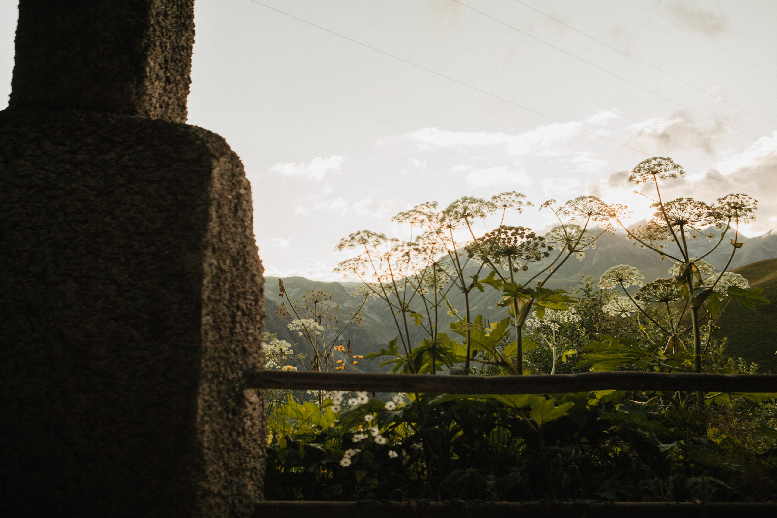 Грузинские каникулы. Violetta Skripka