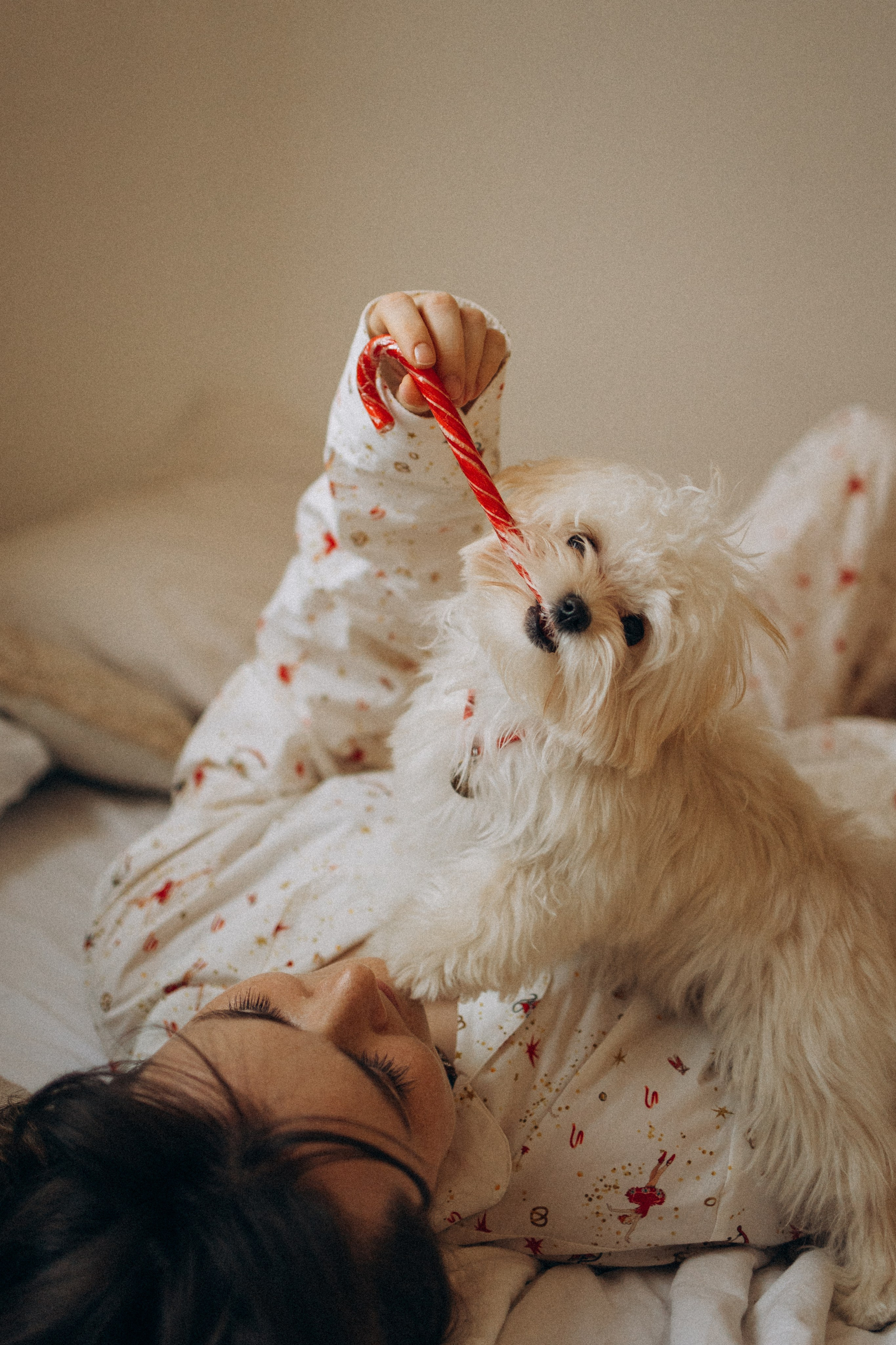 Оля и Бри. Фотораф — анималист Мария Шистка