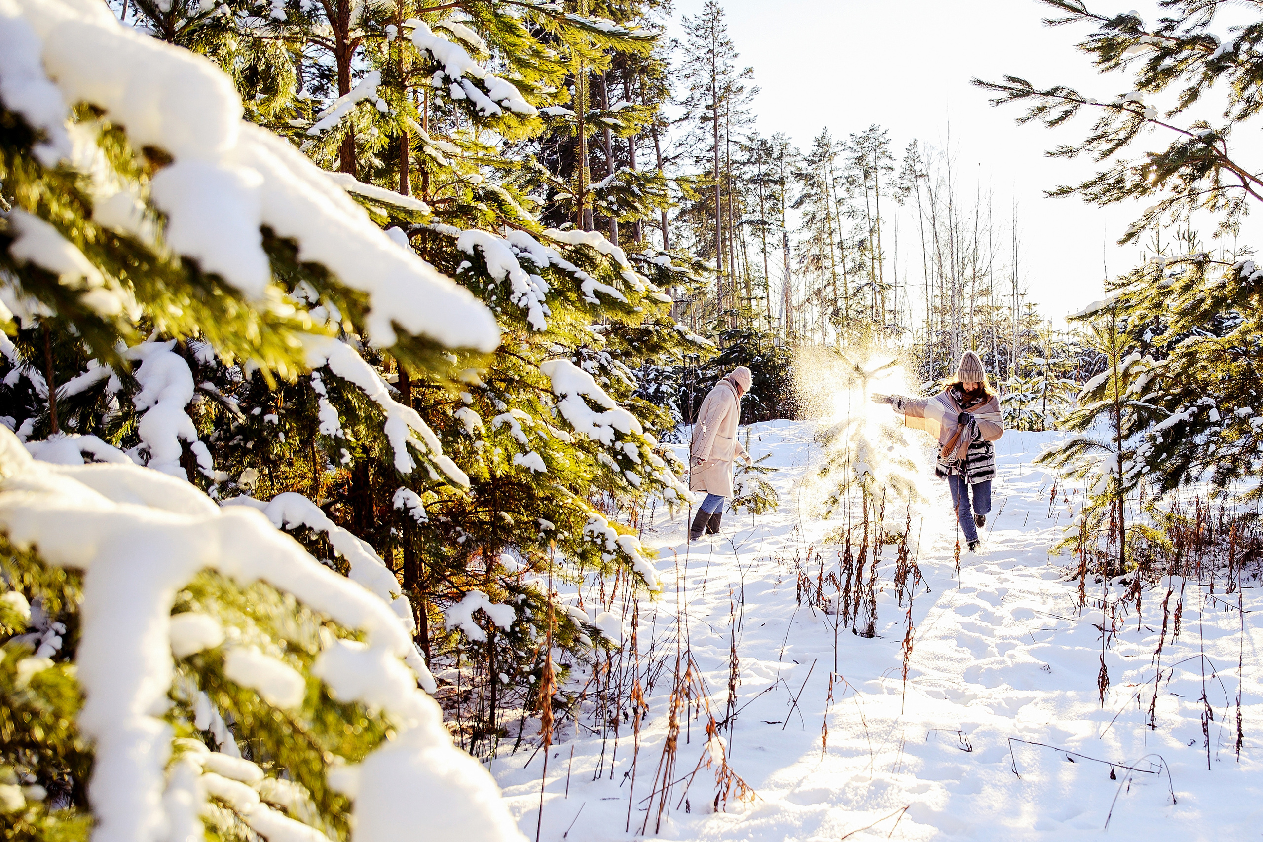 Январские забавы. Свадебный и портретный фотограф в Тюмени Женя Черемнова