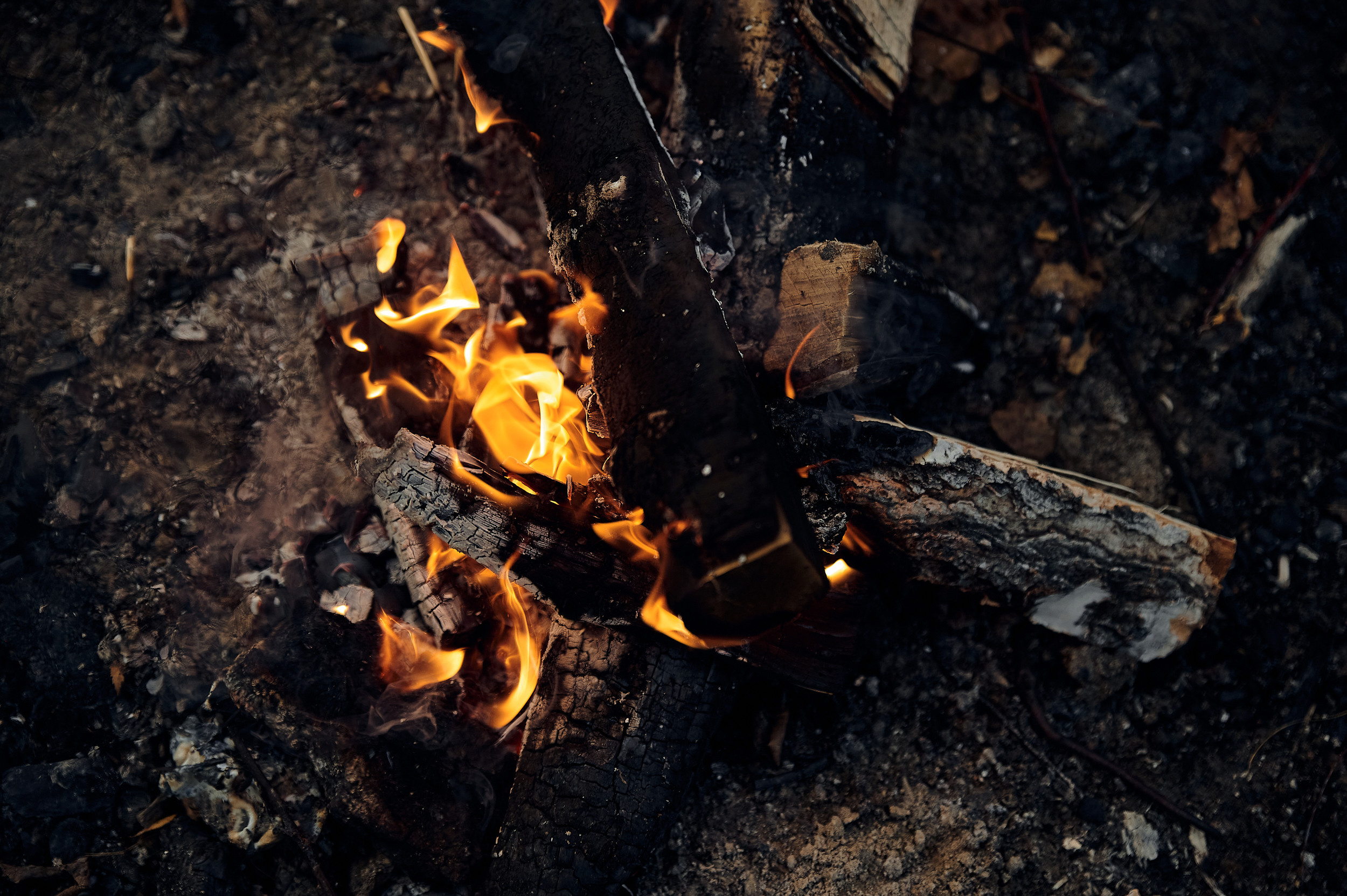 Зефир у костра. Свадебный и портретный фотограф в Тюмени Женя Черемнова