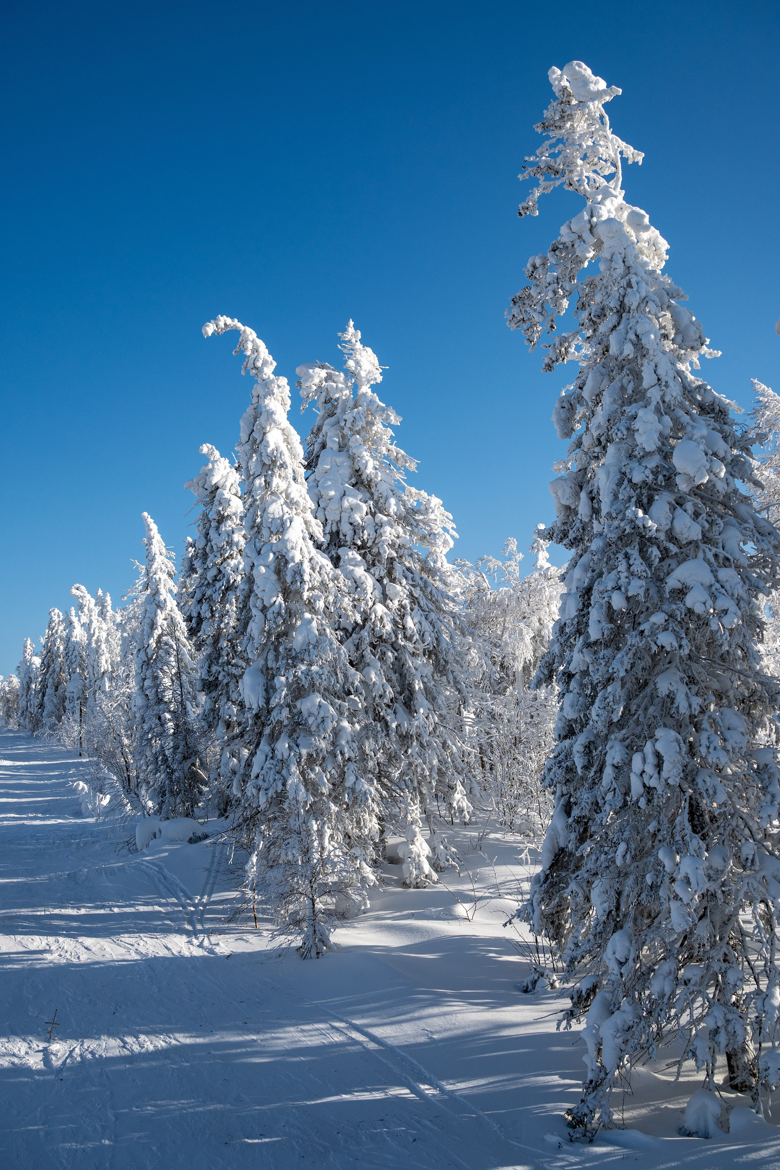 Репортаж/Портреты. …