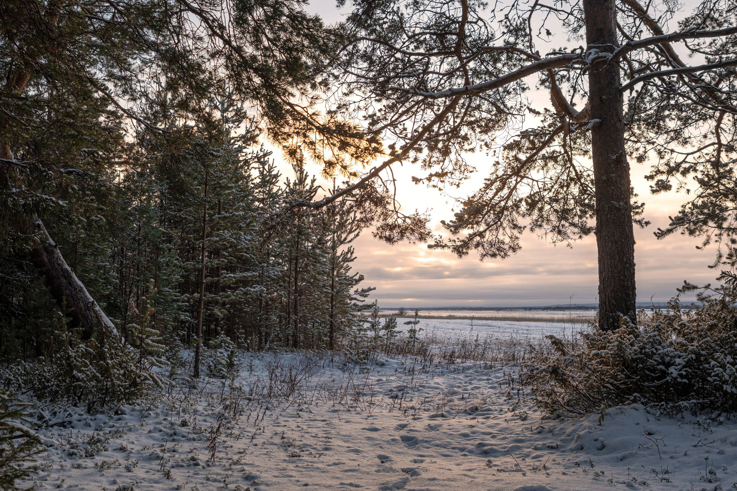 Разное. Фотограф в с. Ижма Республика Коми Терентьев Сергей