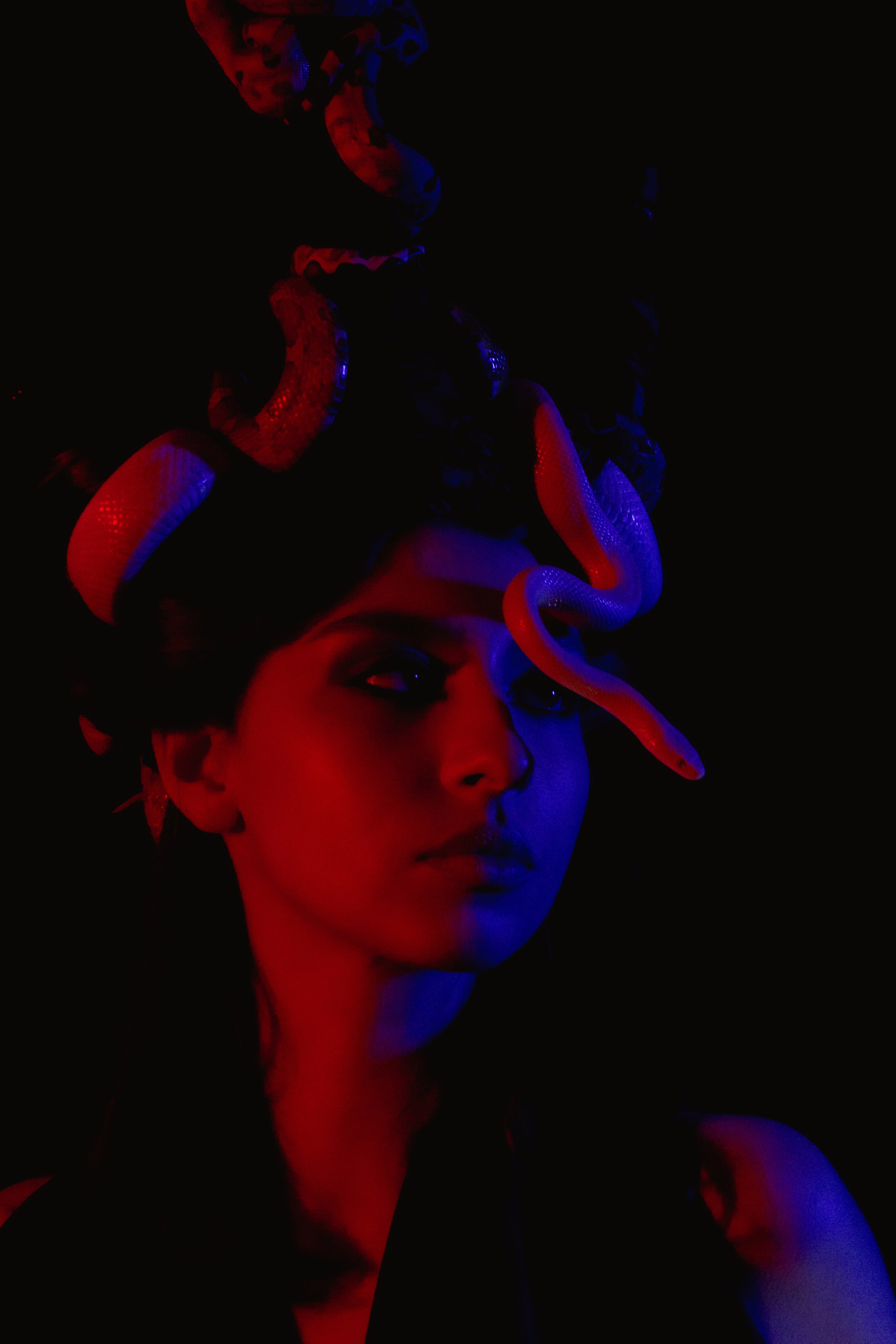 Медуза горгона, 