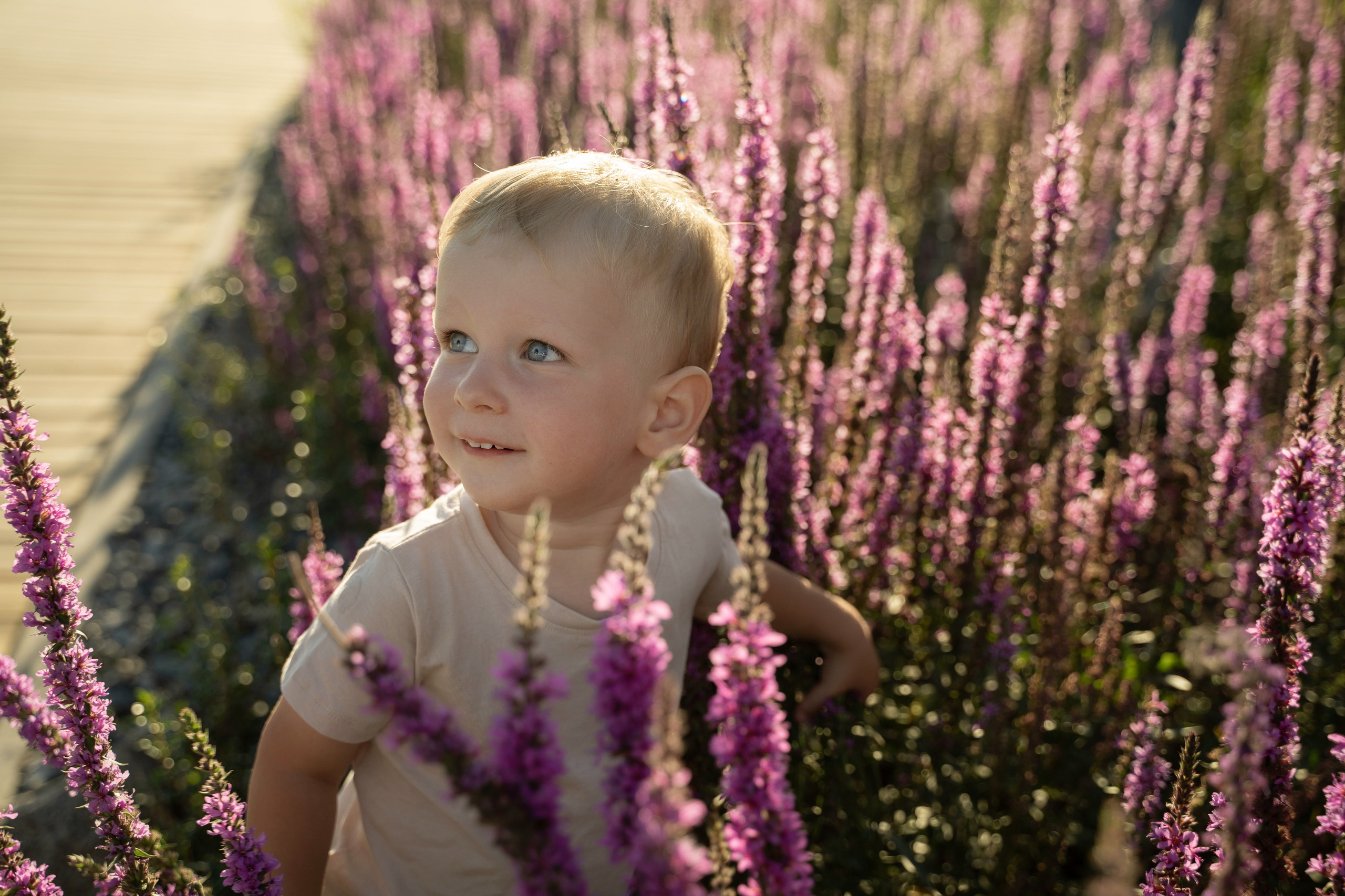 Семейная прогулка. Главная