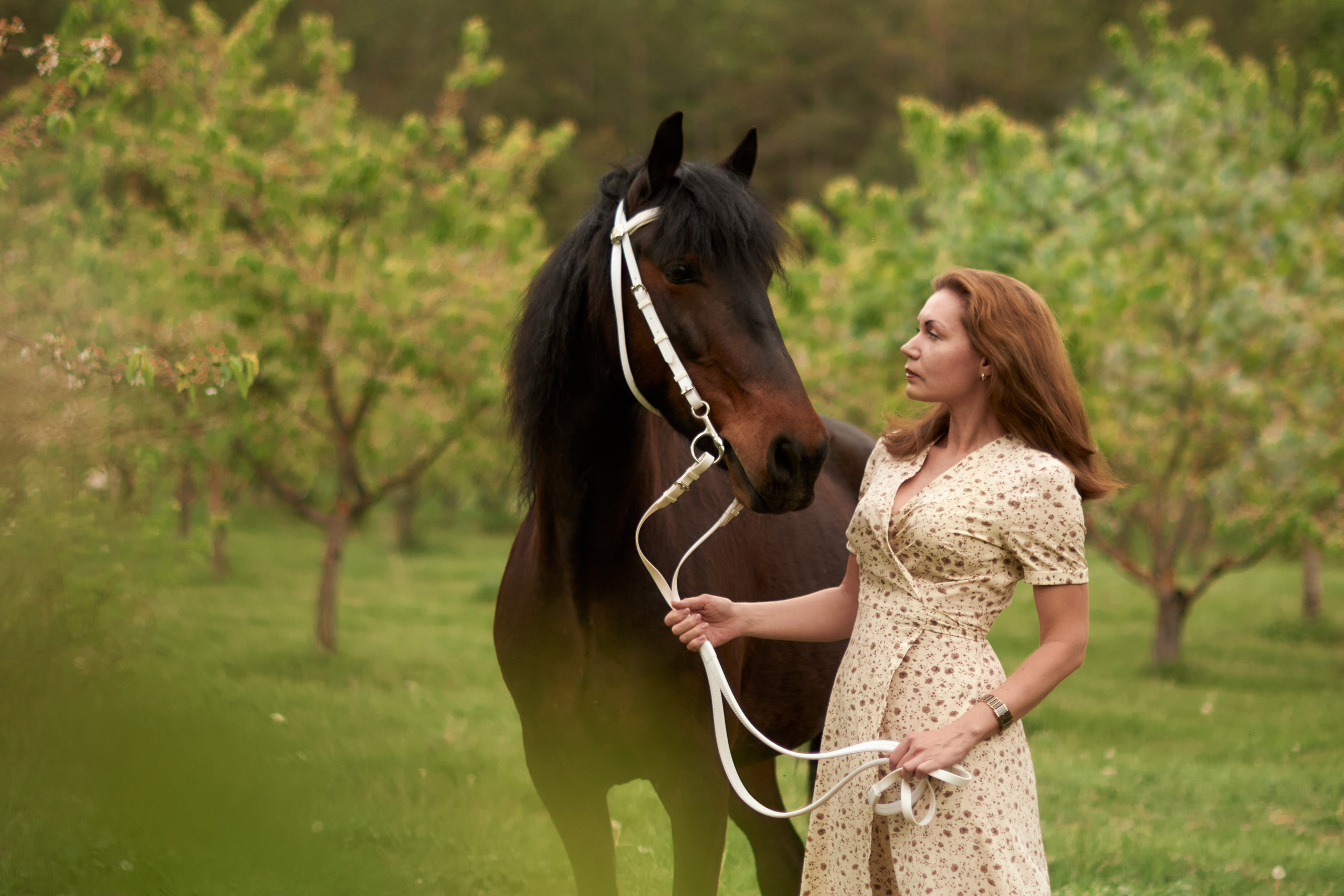 Фотосессия с лошадью Севастополь. Фотограф в Севастополе