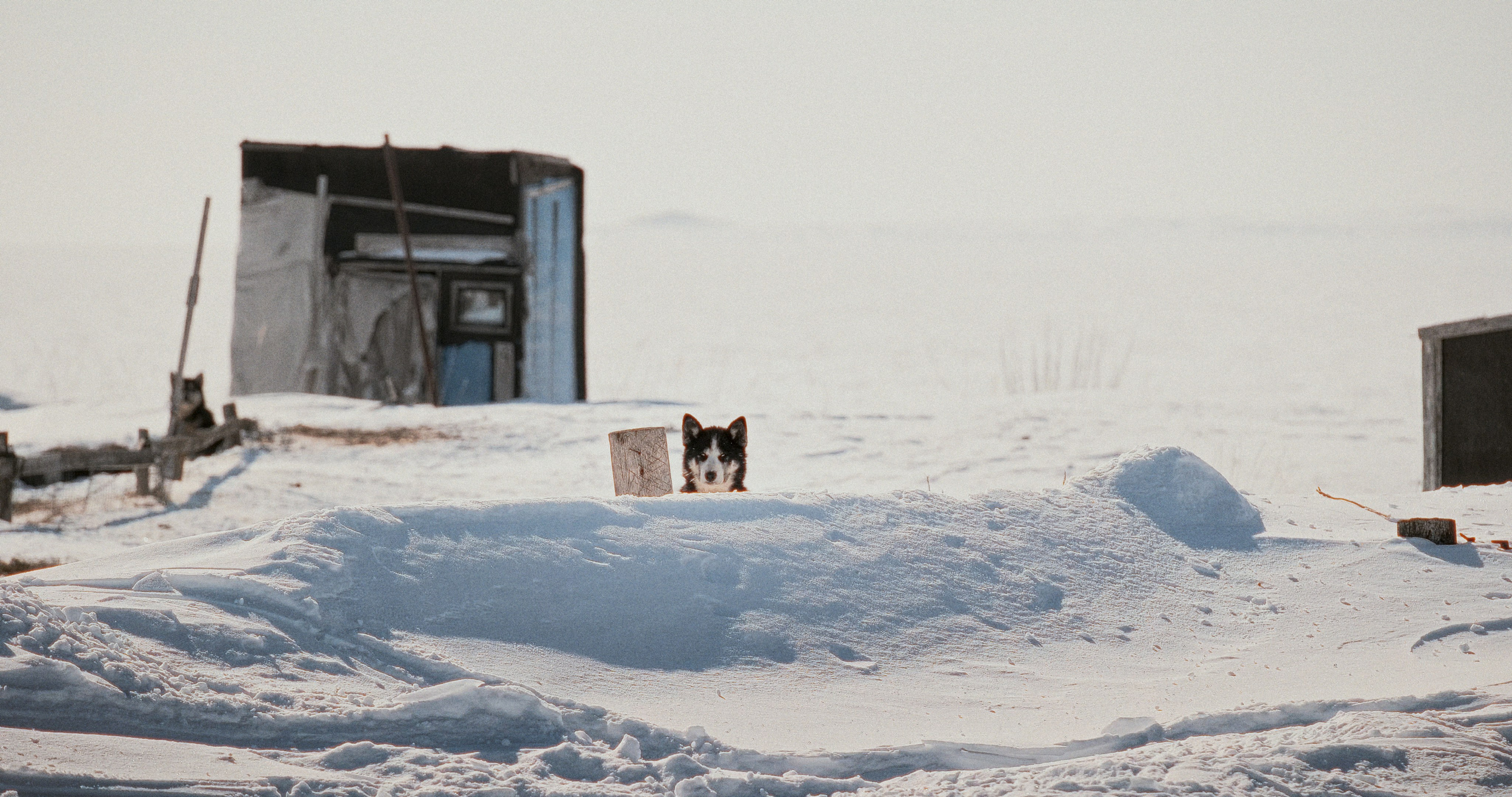 Экстрим. Максим Завгаров