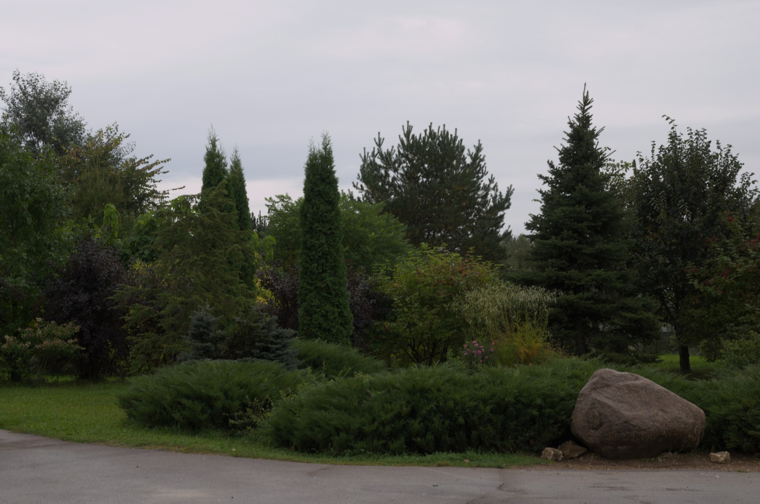 Боровск и парк птиц «Воробьи» | 17.09.2017. Галерея Фантим