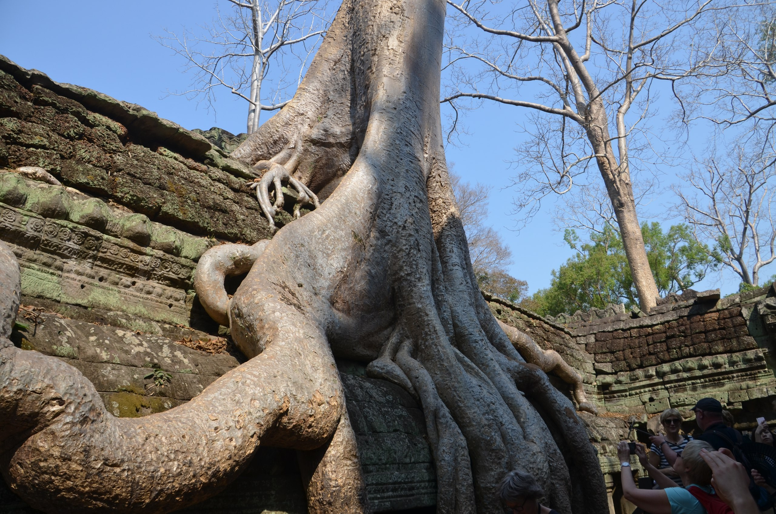 Таиланд |10-25.02.2018. Галерея Фантим