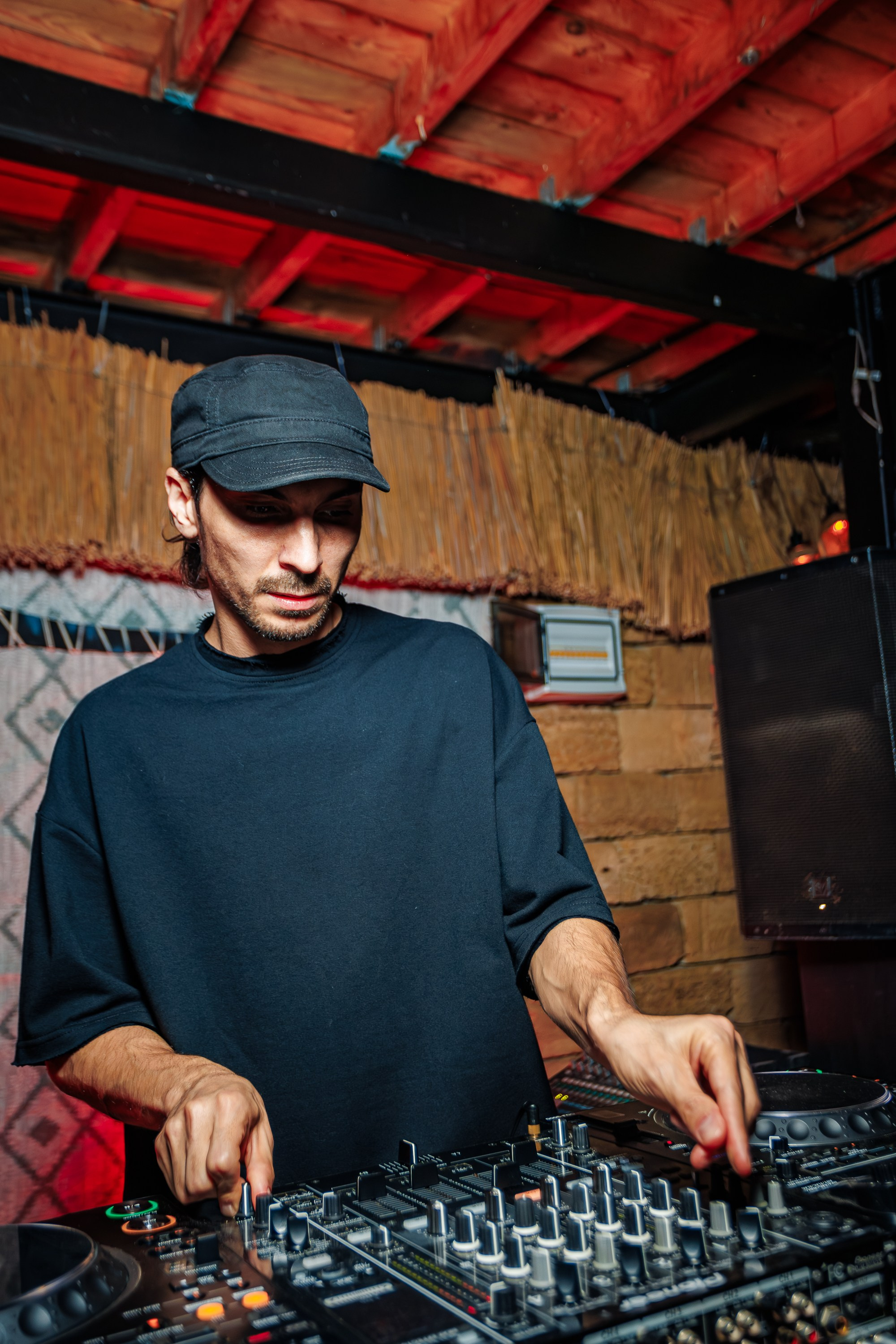 «Митя Фомин"_Чайка на пляже_Ялта_28.06.2025 г. Аминов Руслан | Фотограф