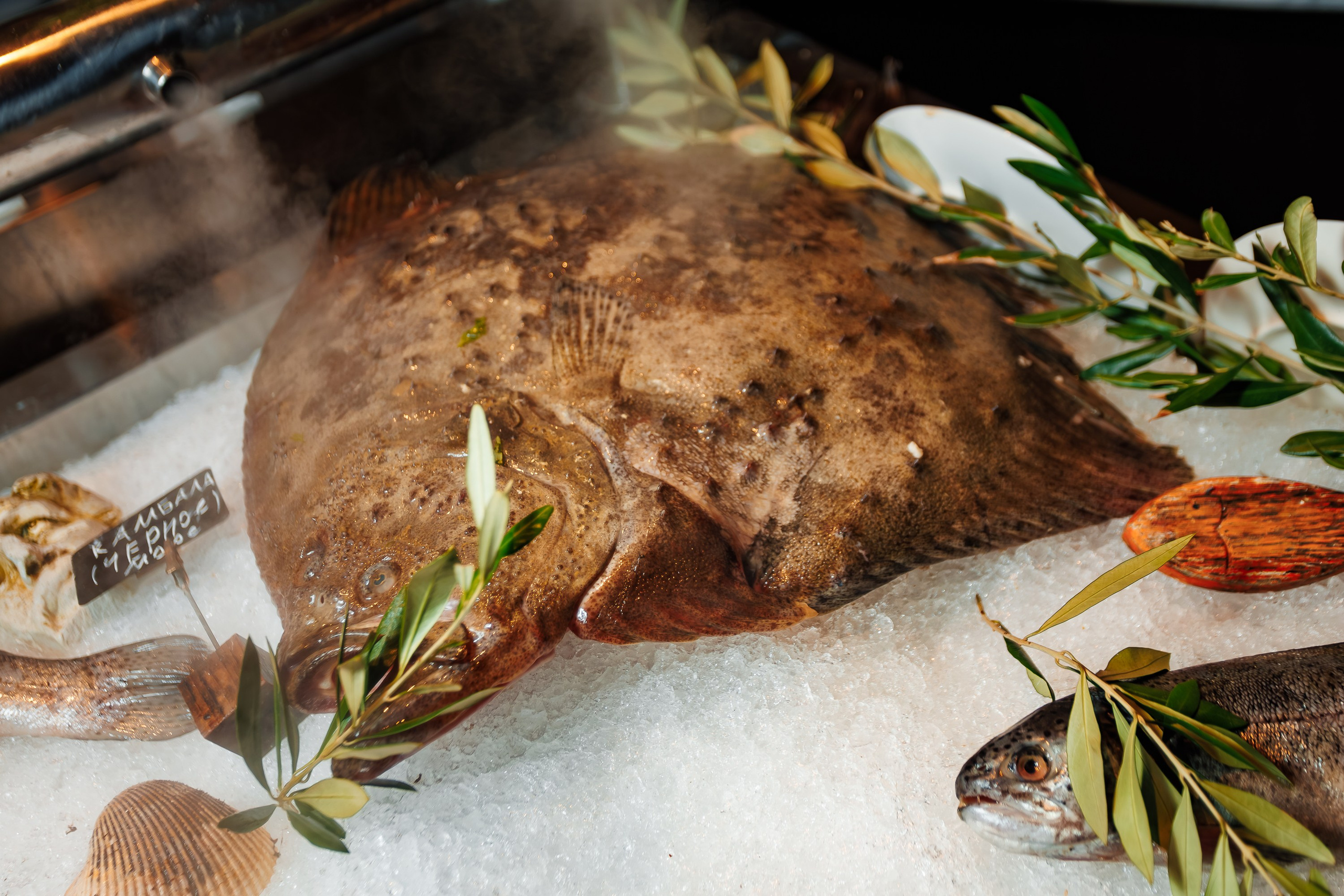 Гастроужин в греческом ресторане ЛИВАДИЯ_Ялта_27.09.2025. Аминов Руслан | Фотограф