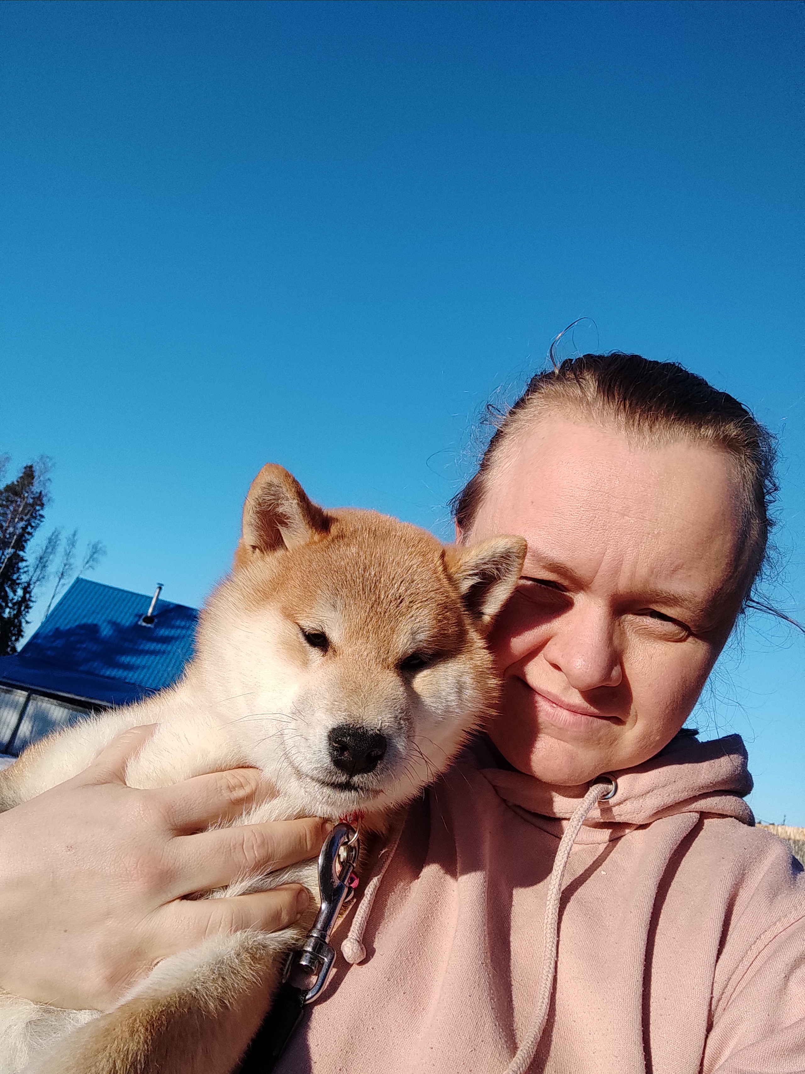 Ассоль * HANDZIMEMESITE ASOLL  сиба питомник Rubylight