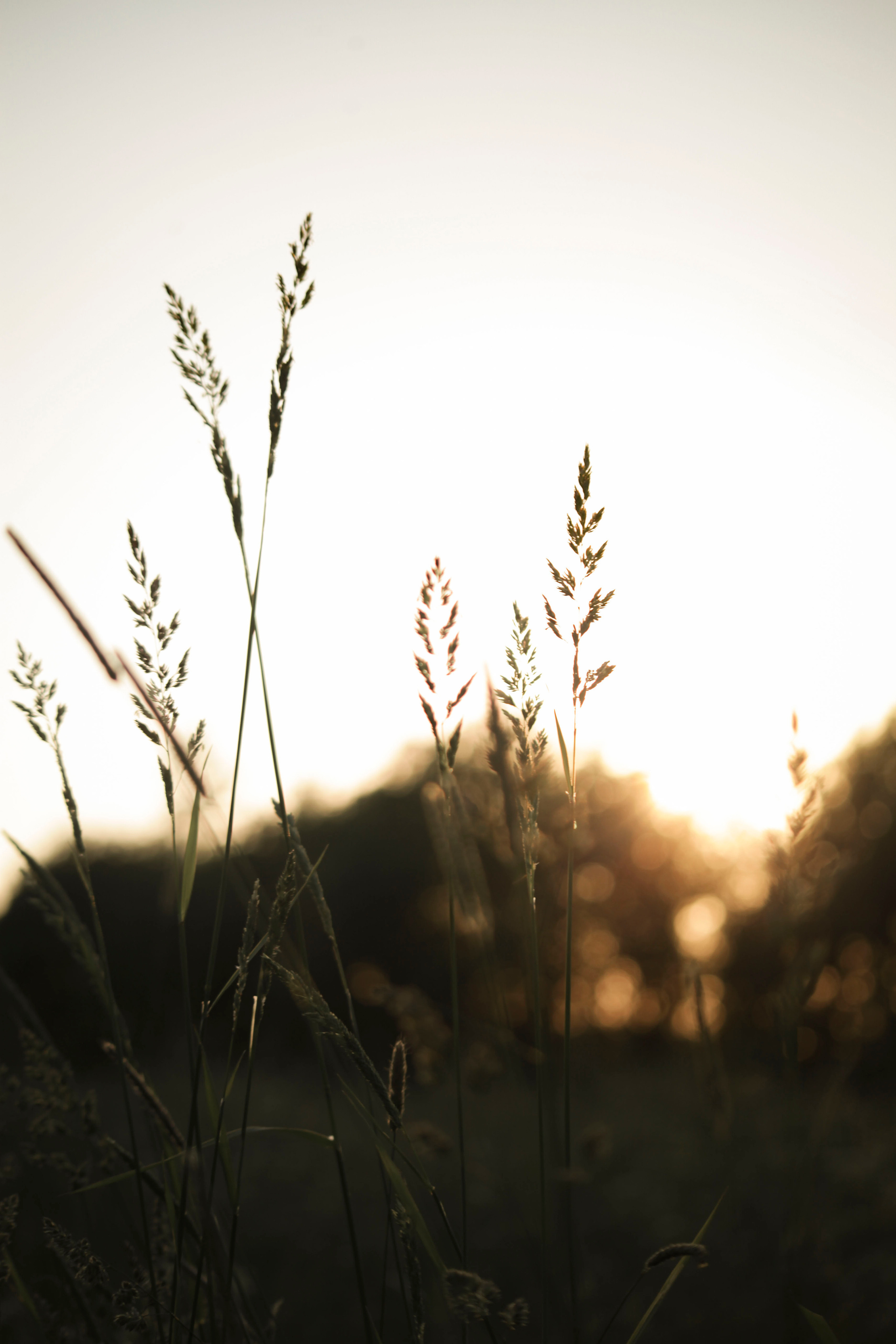 Индивидуальные съемки. Индивидуальный и семейный фотограф в Санкт-Петербурге Ласкава Валерия