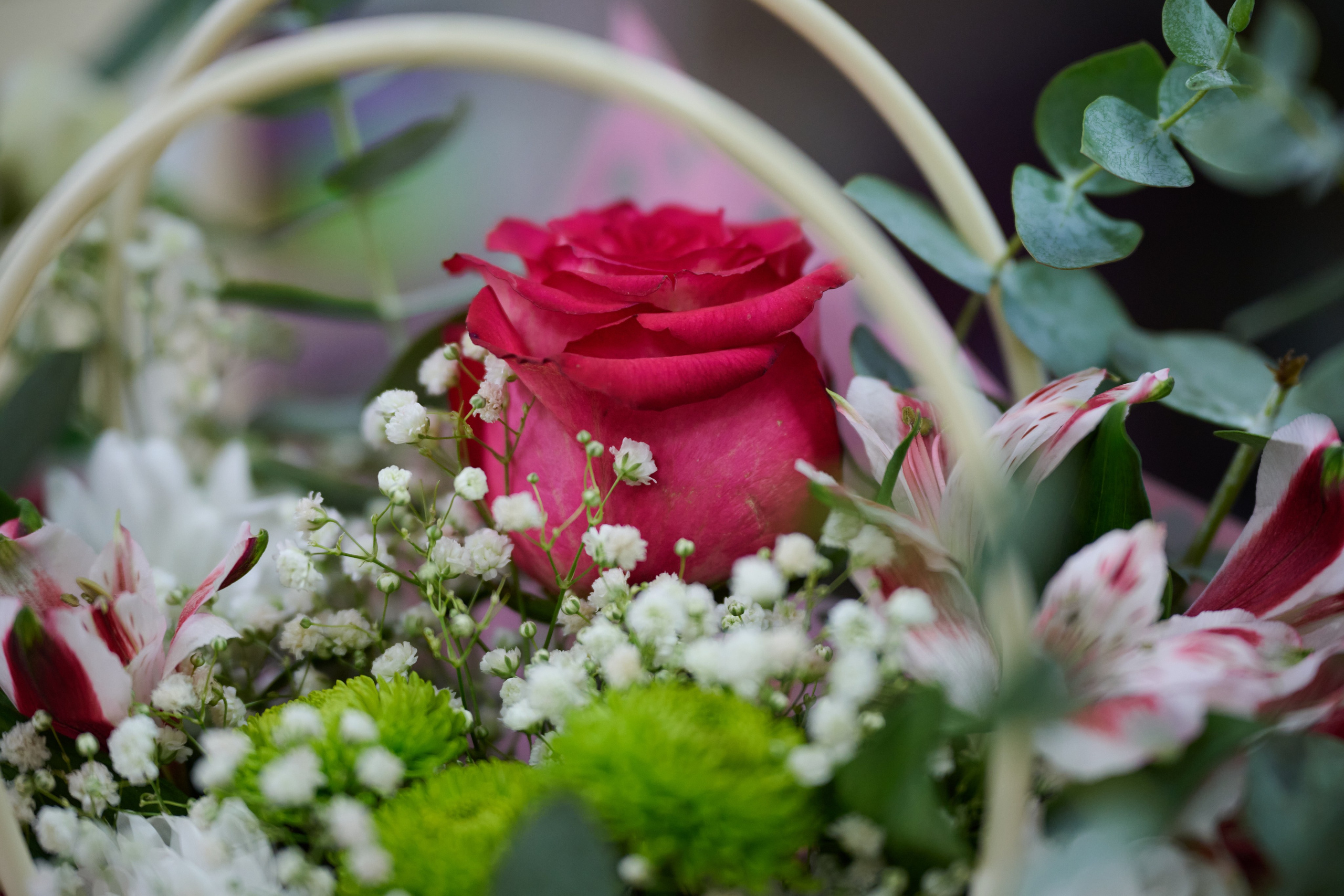 Лисичанск. Луганская область. Фотопроект «Территории»